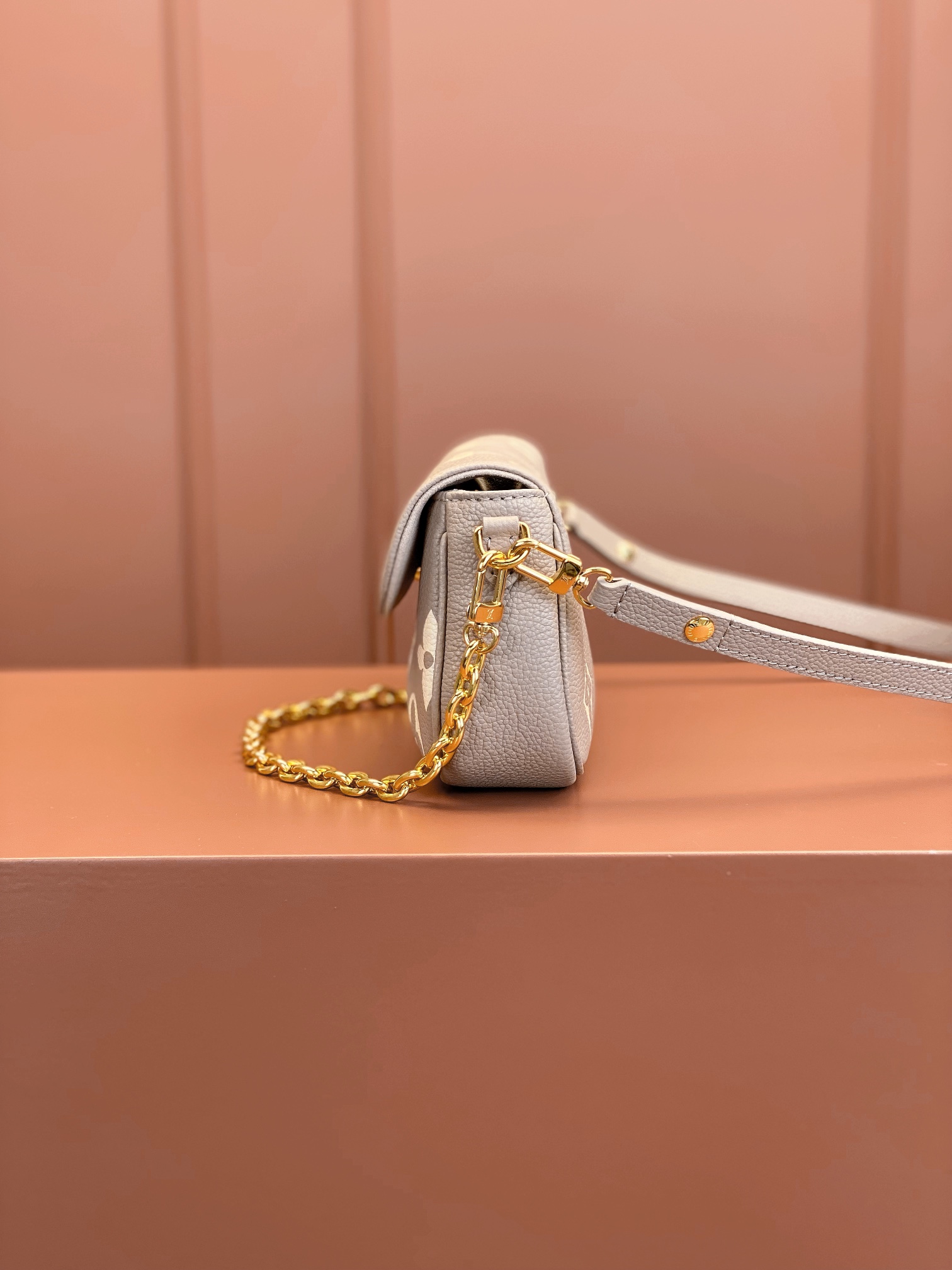 LV Bag