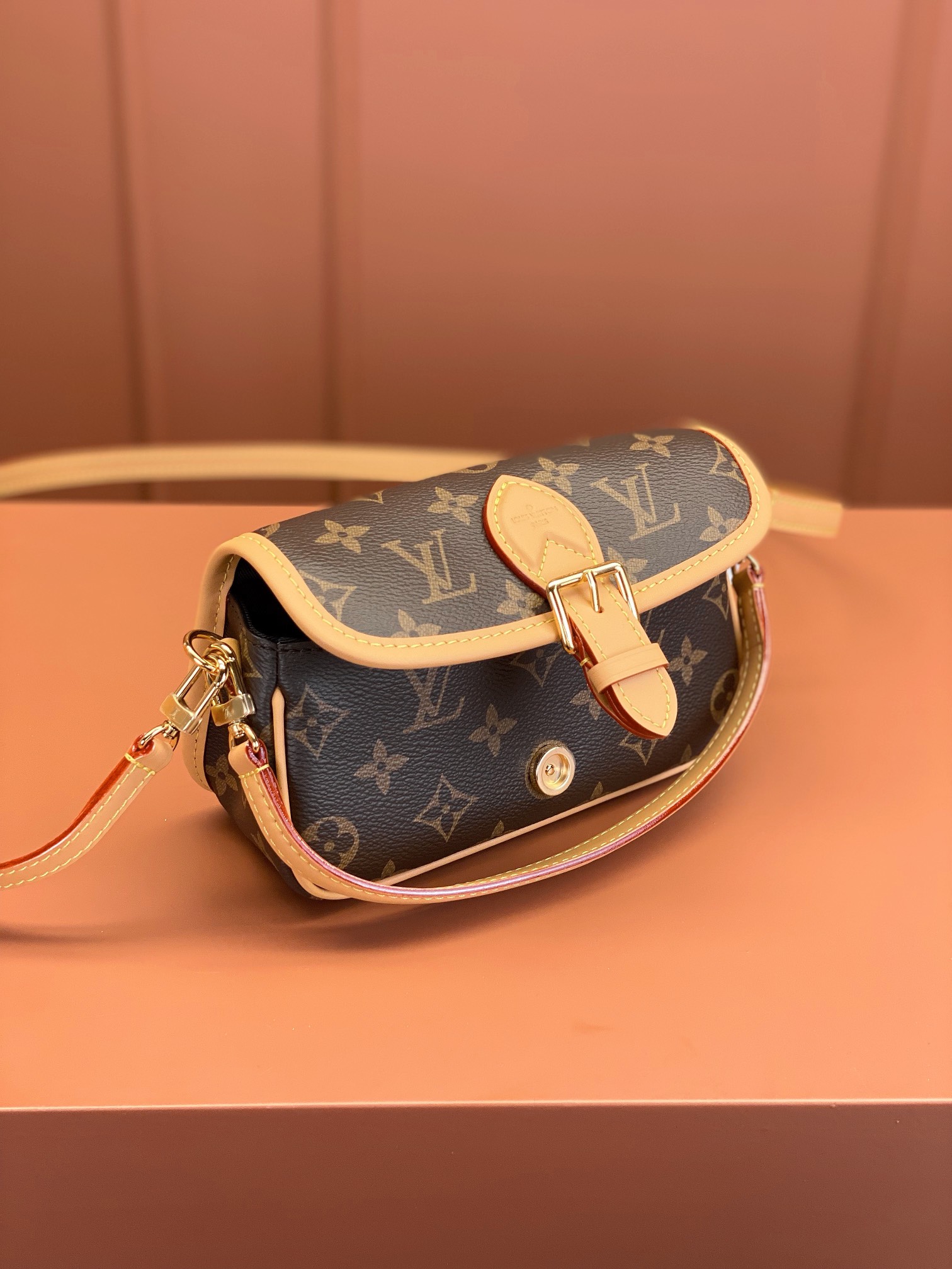 LV Bag