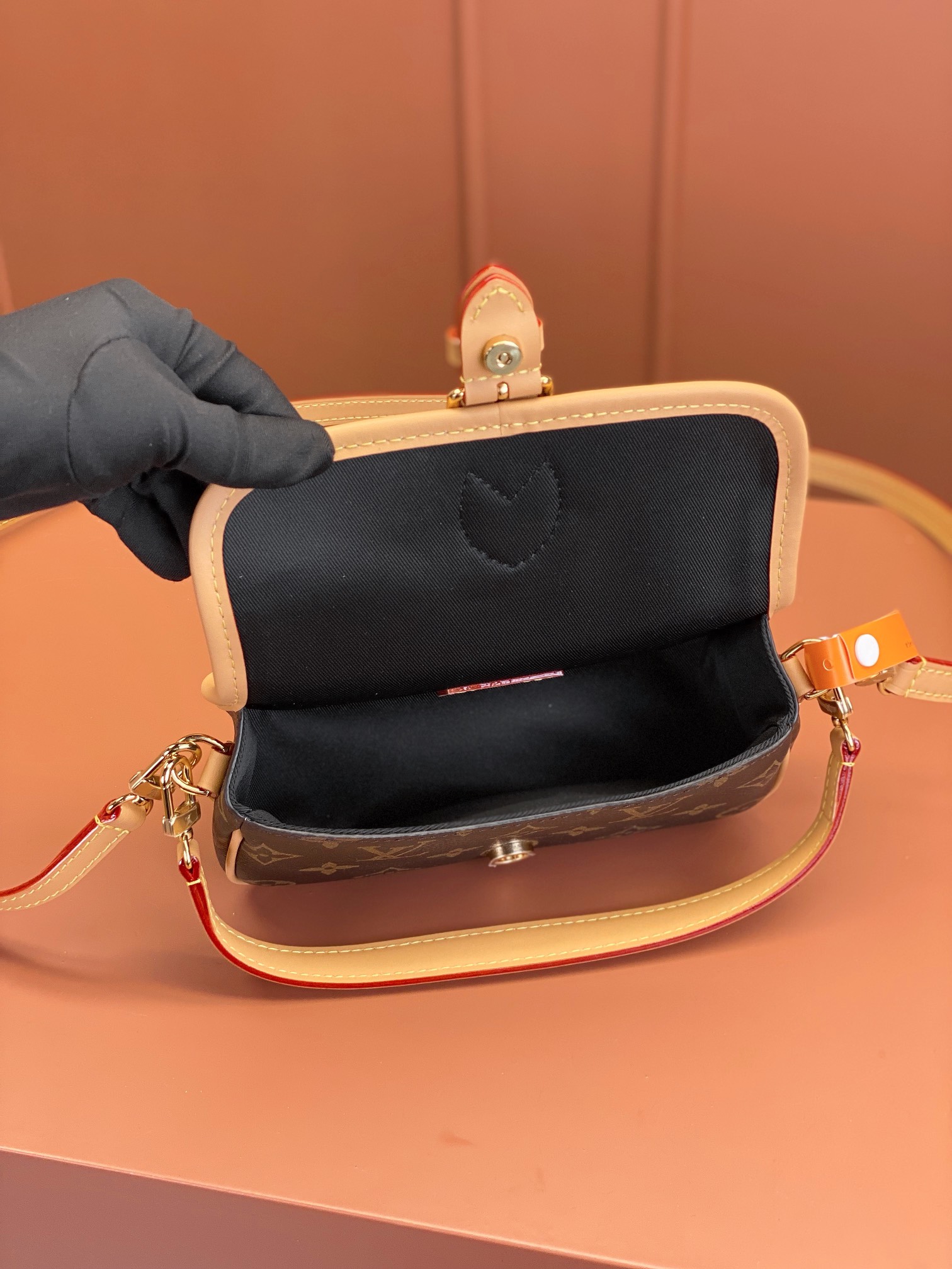 LV Bag