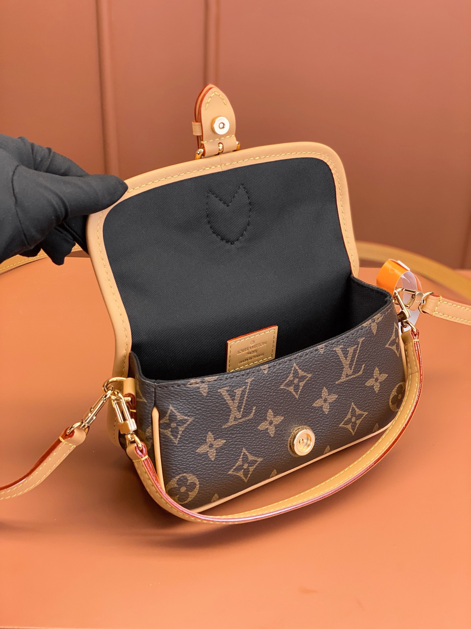 LV Bag