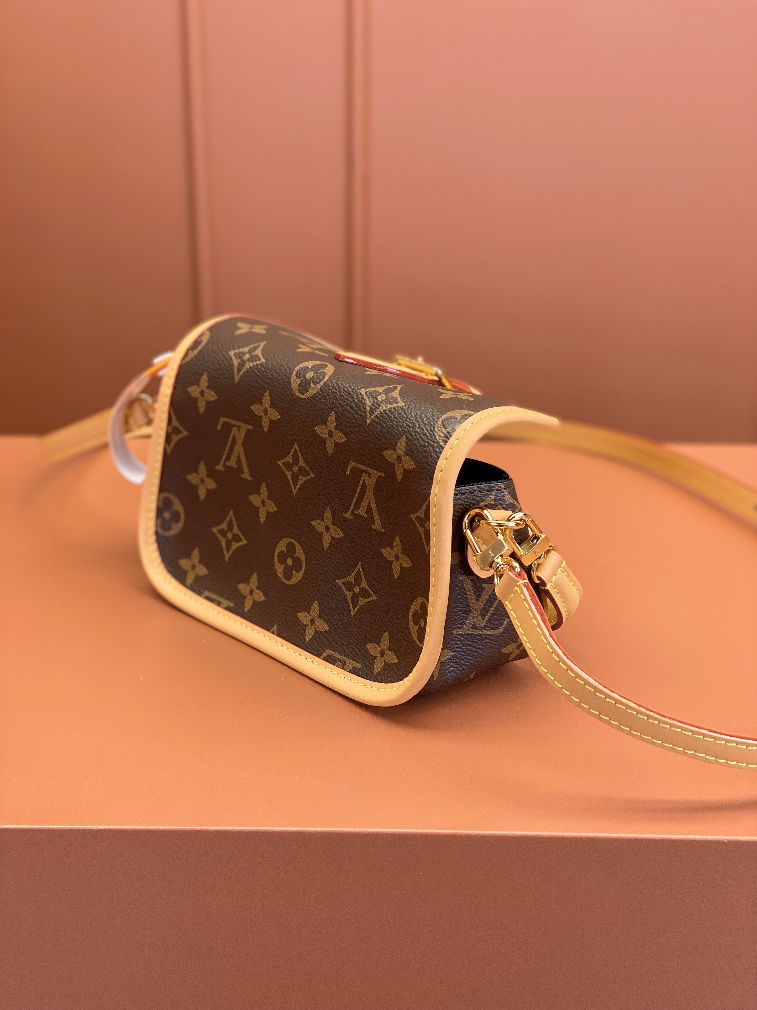 LV Bag