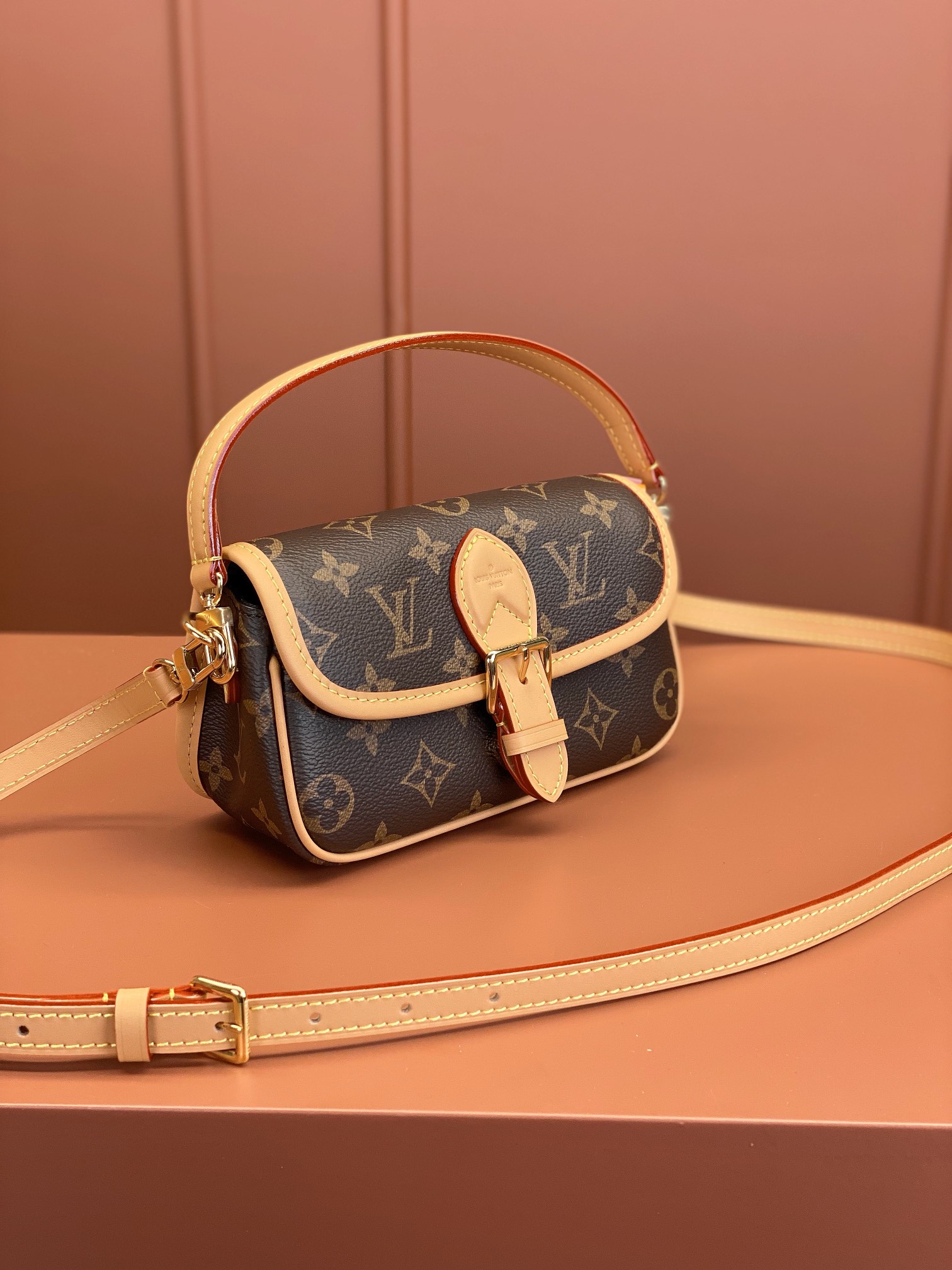 LV Bag
