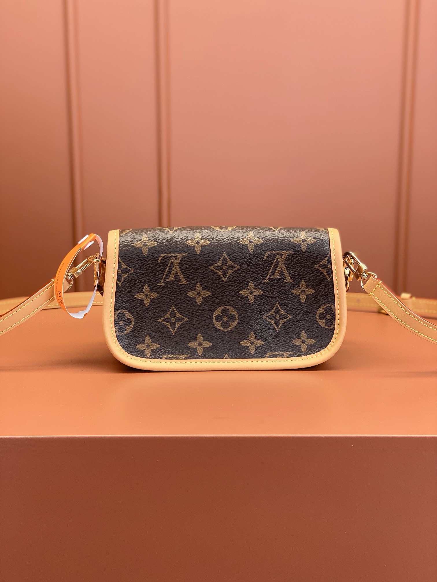 LV Bag