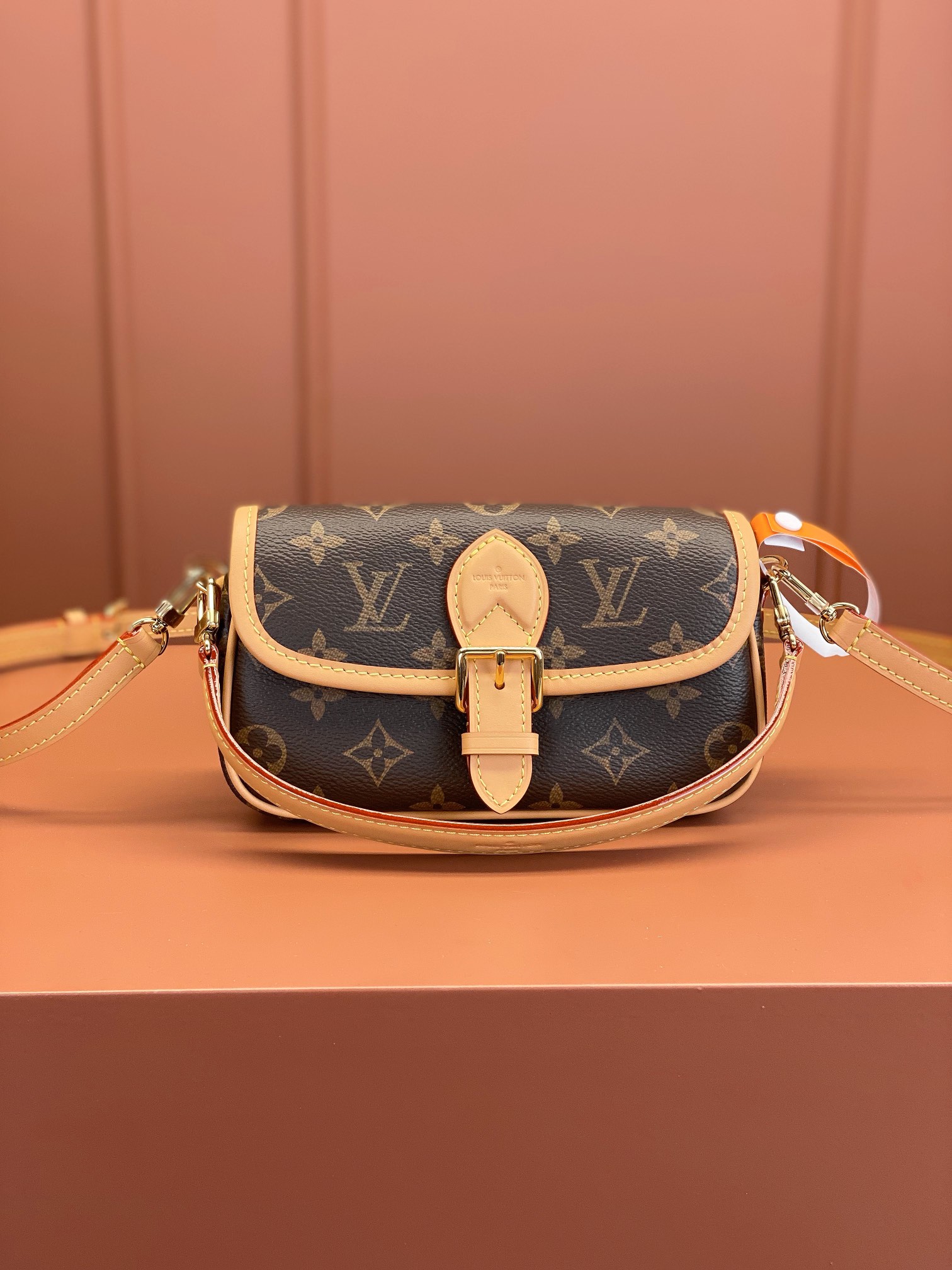 LV Bag