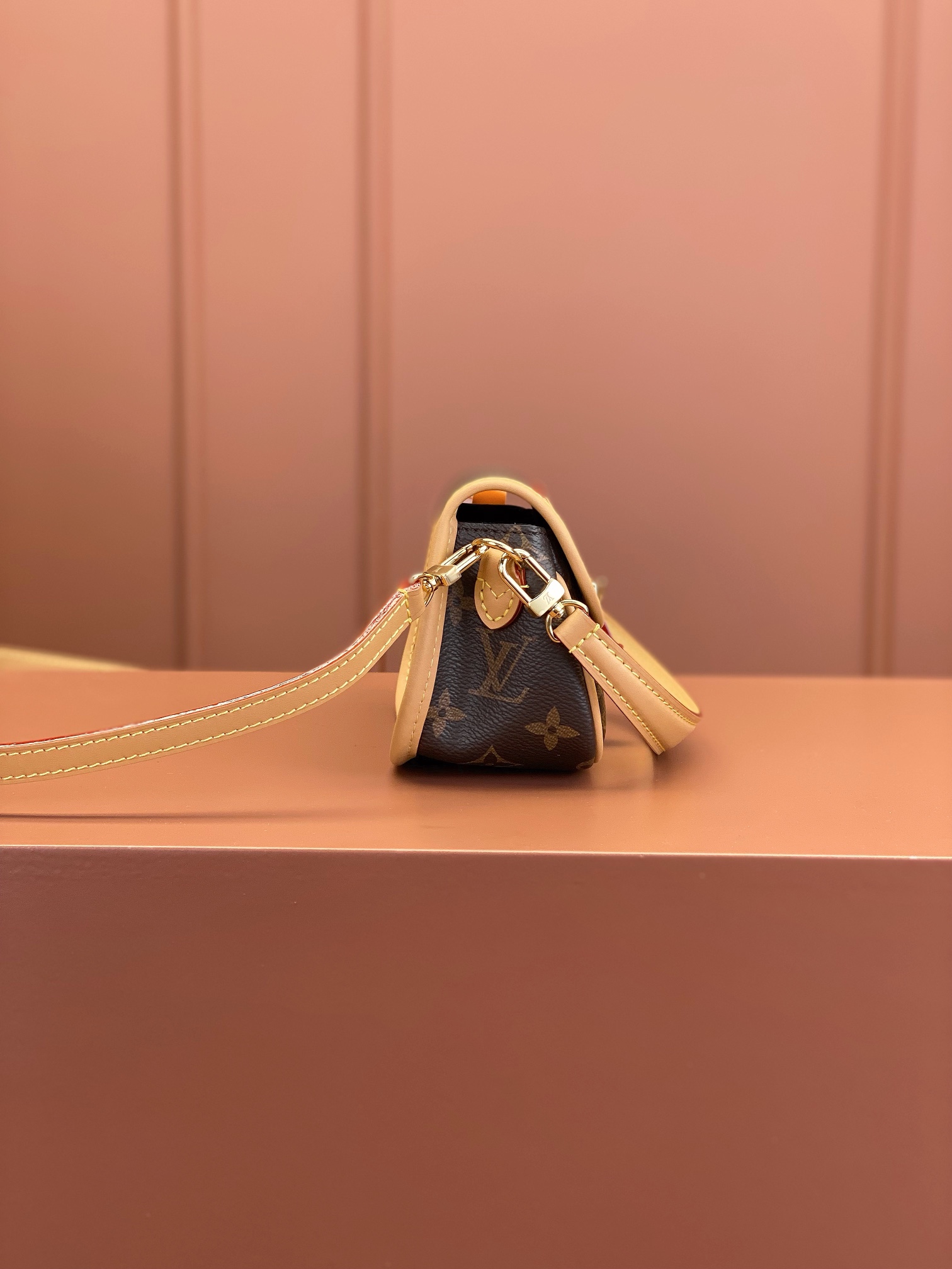 LV Bag