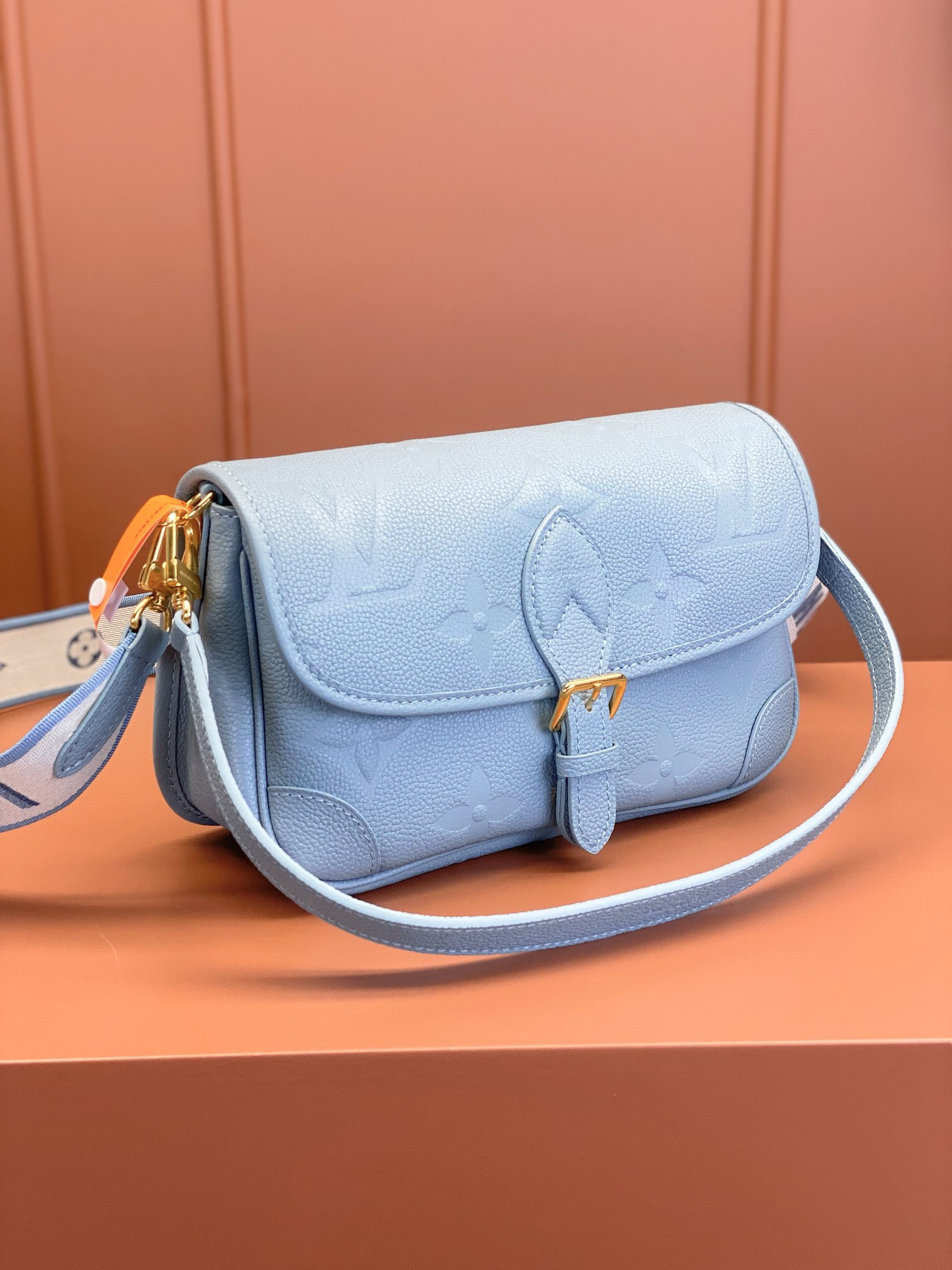 LV Bag