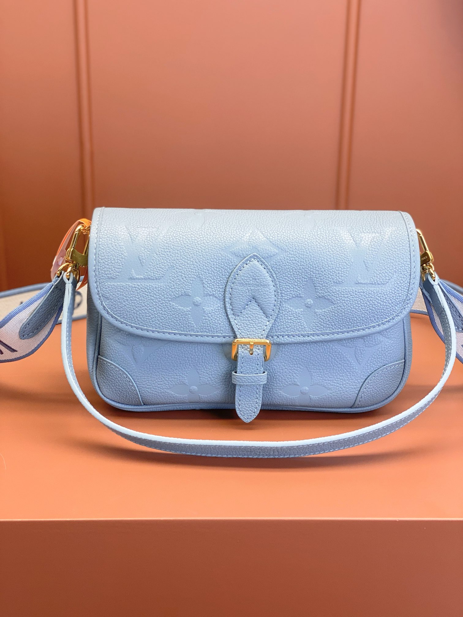 LV Bag