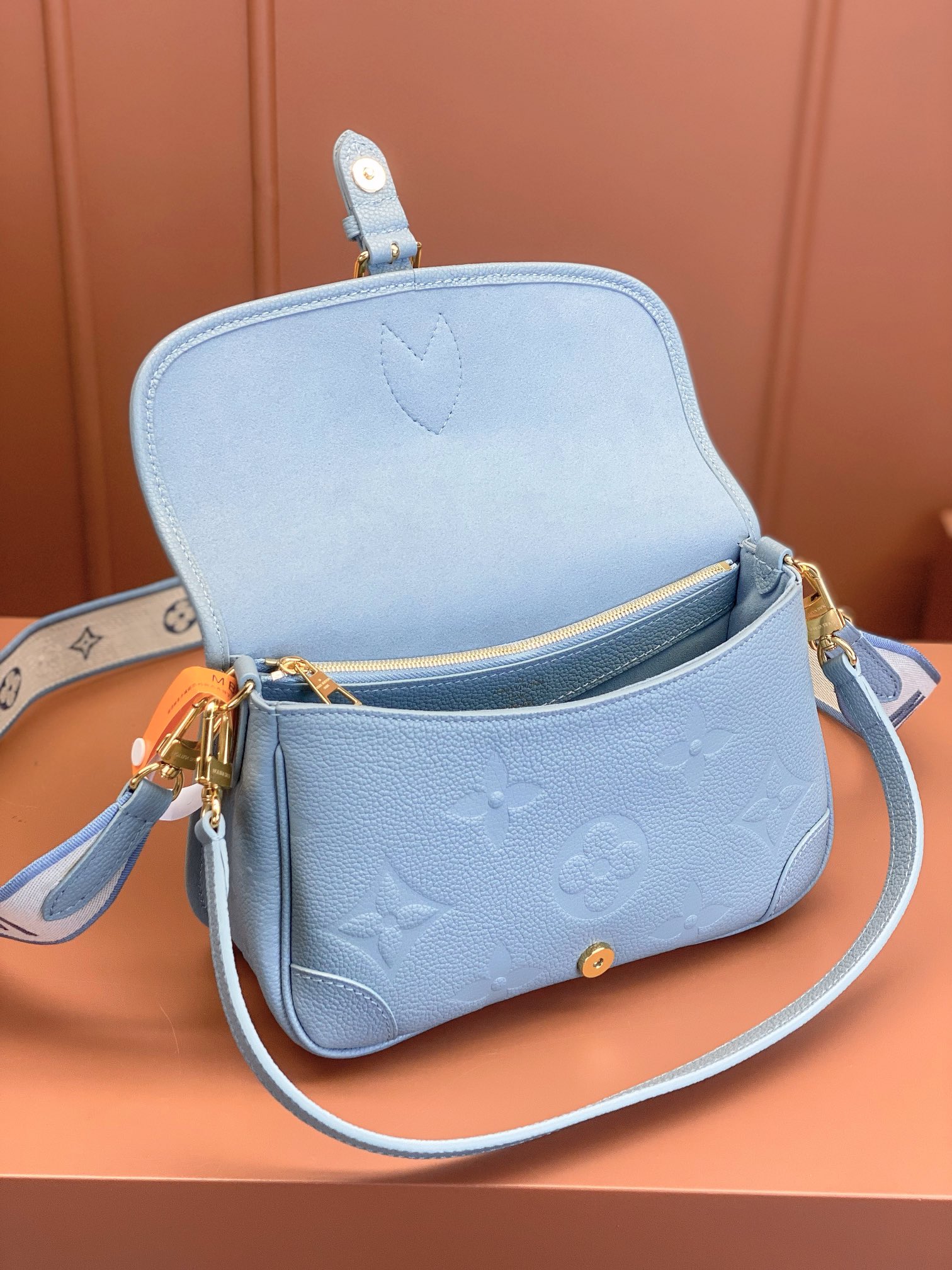 LV Bag