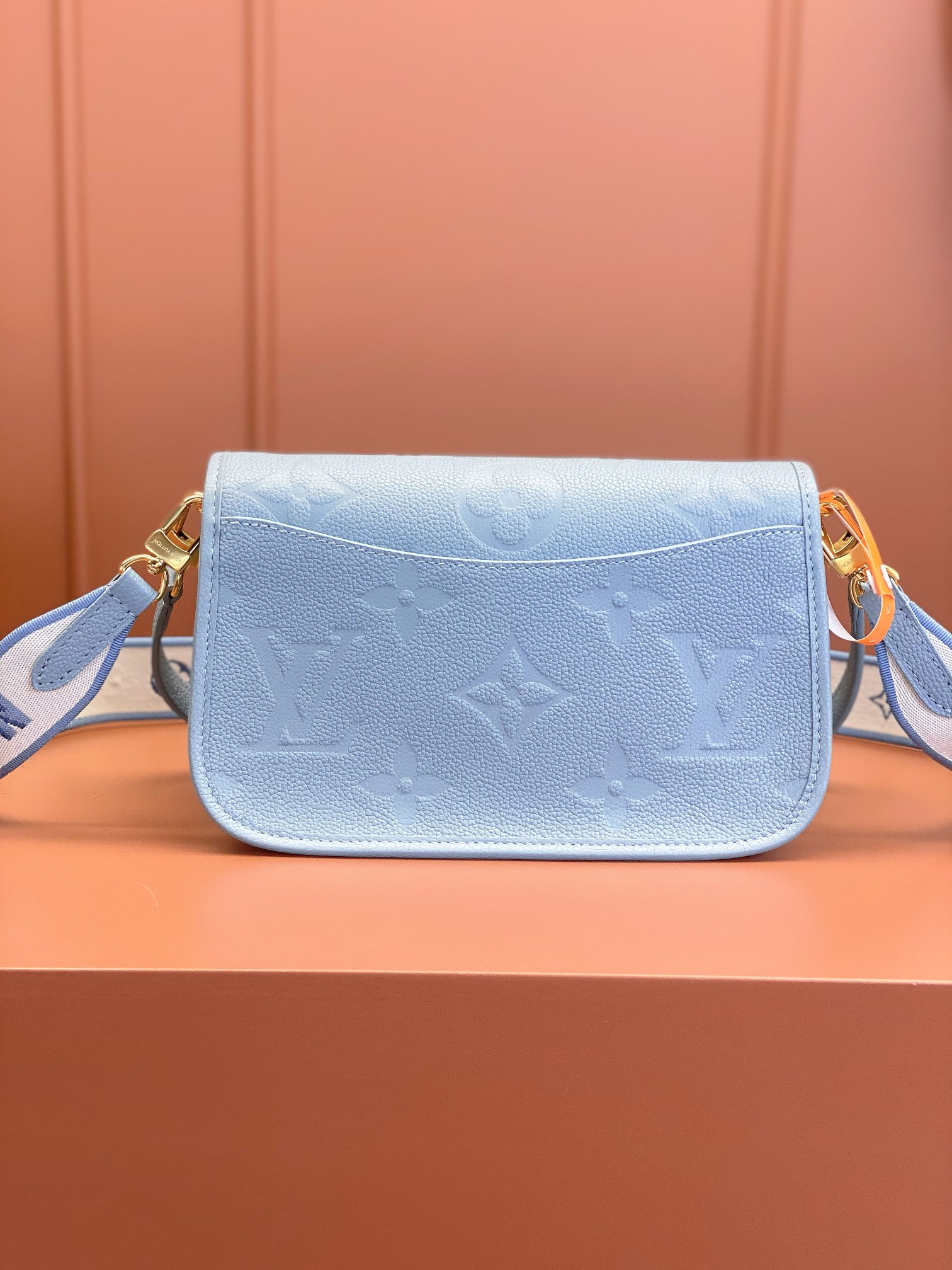 LV Bag