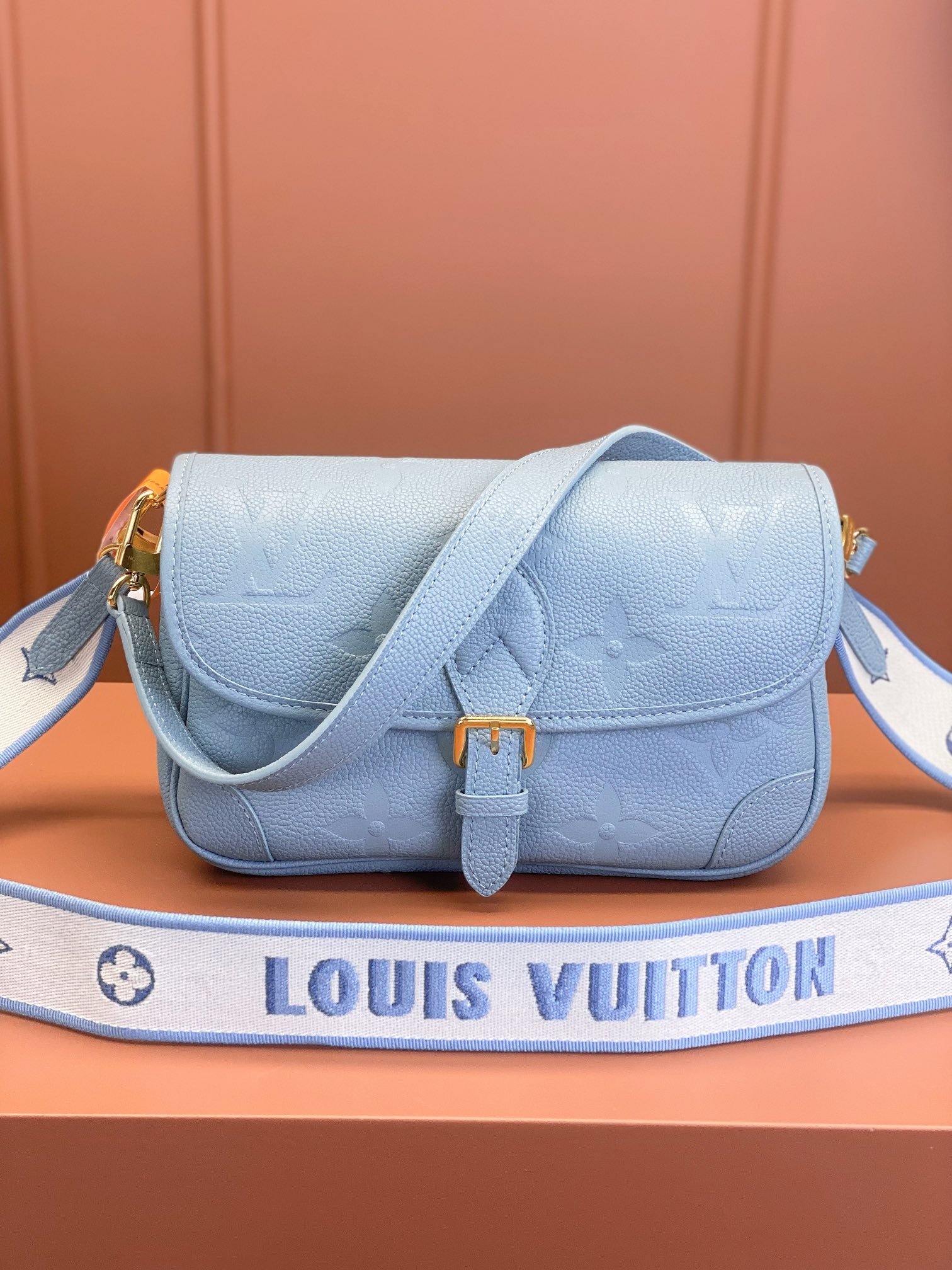 LV Bag