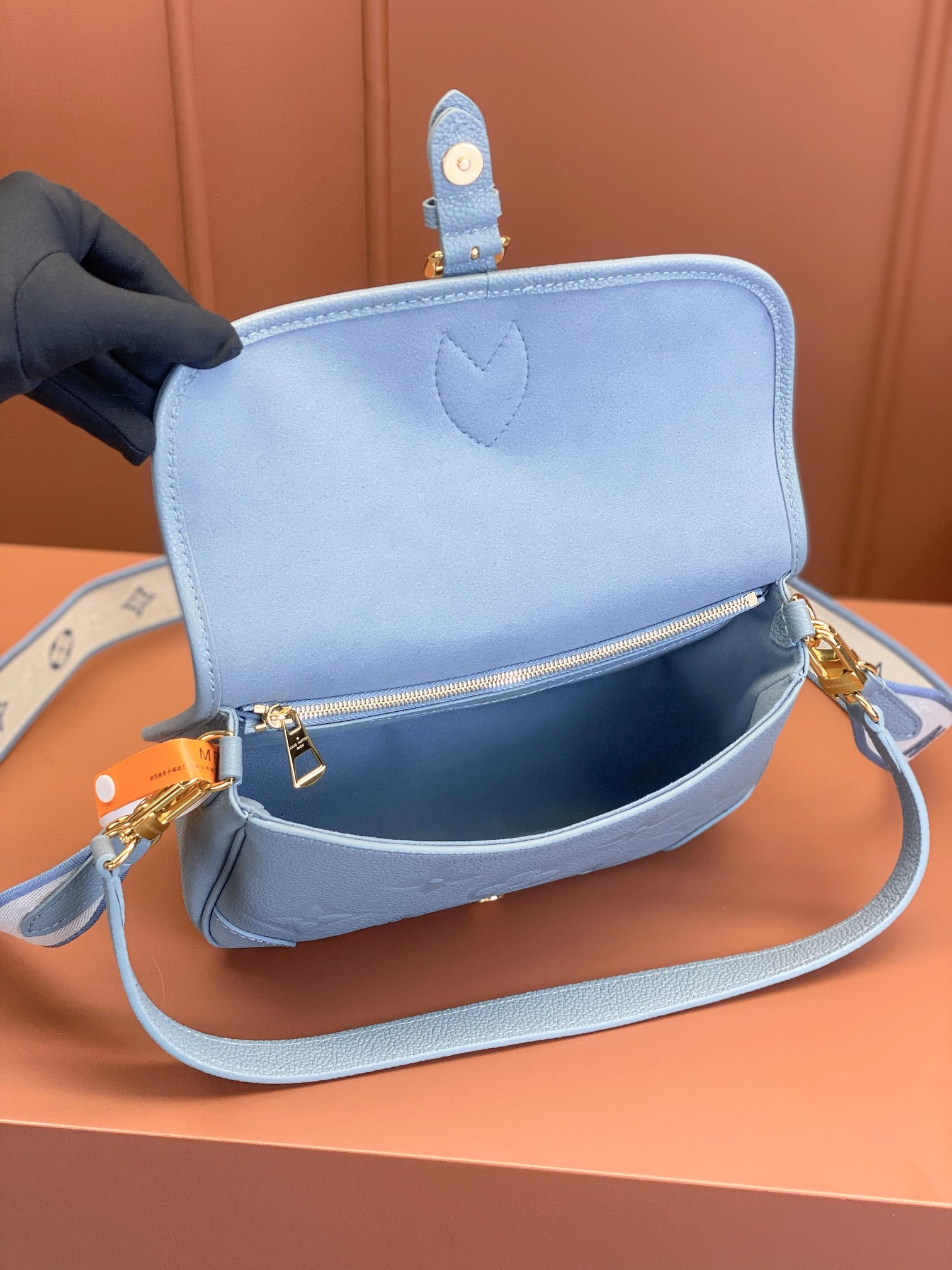 LV Bag