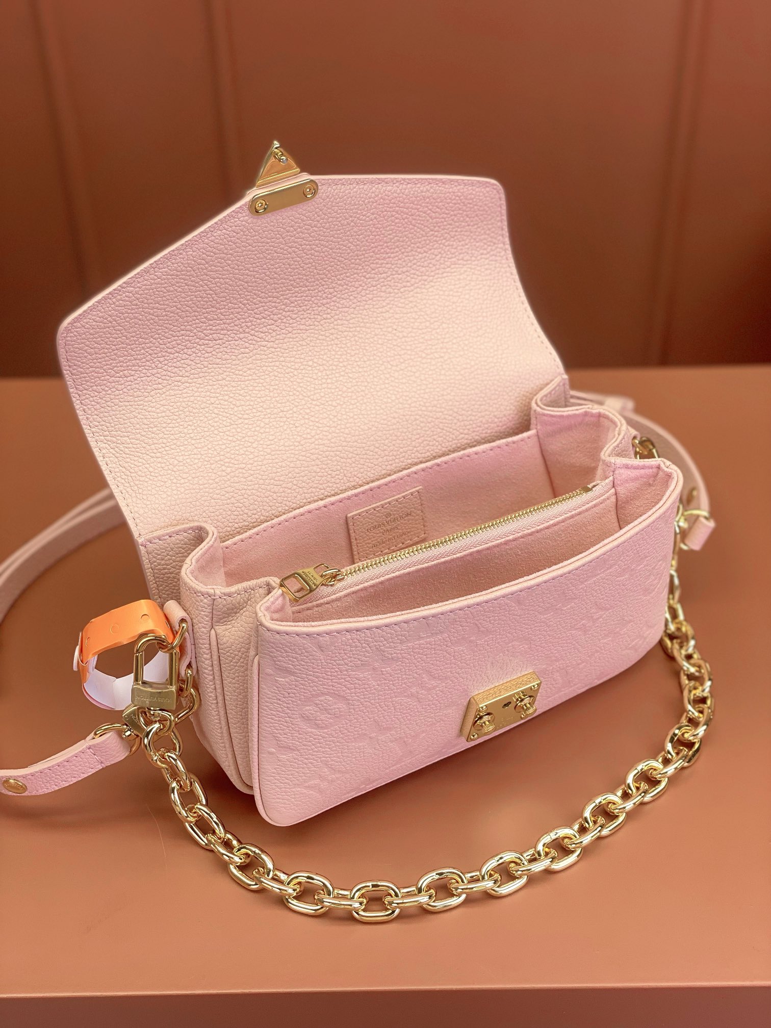 LV Bag