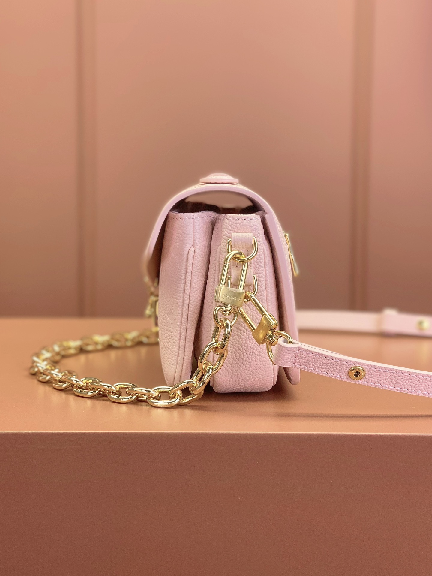 LV Bag