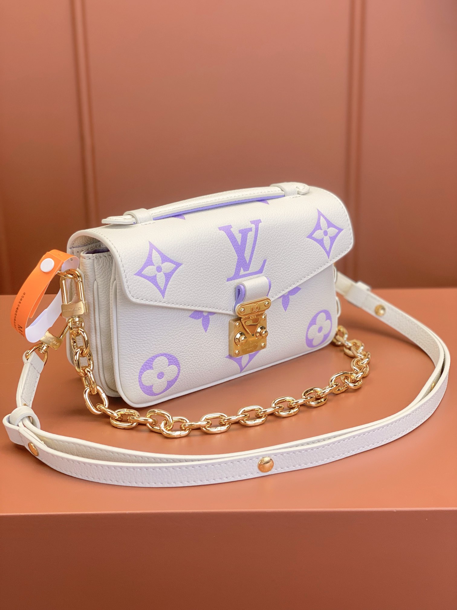 LV Bag