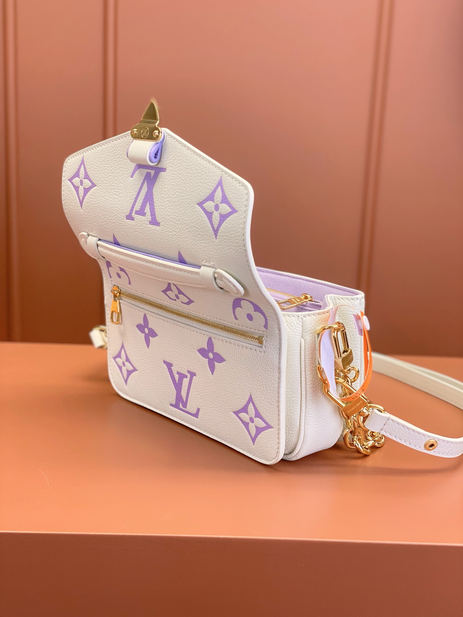 LV Bag