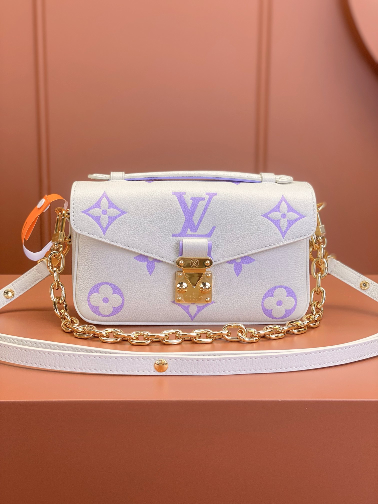LV Bag