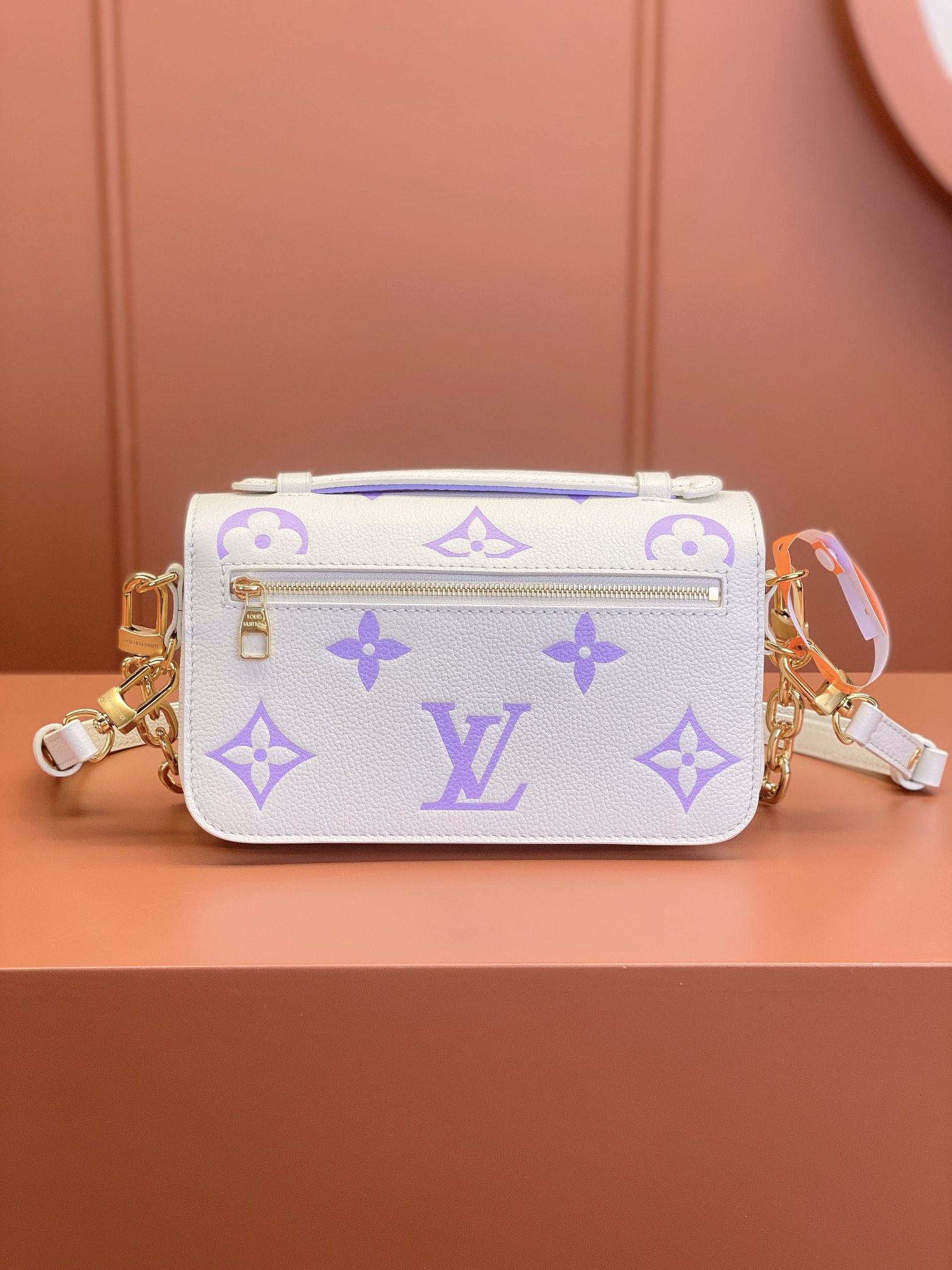 LV Bag