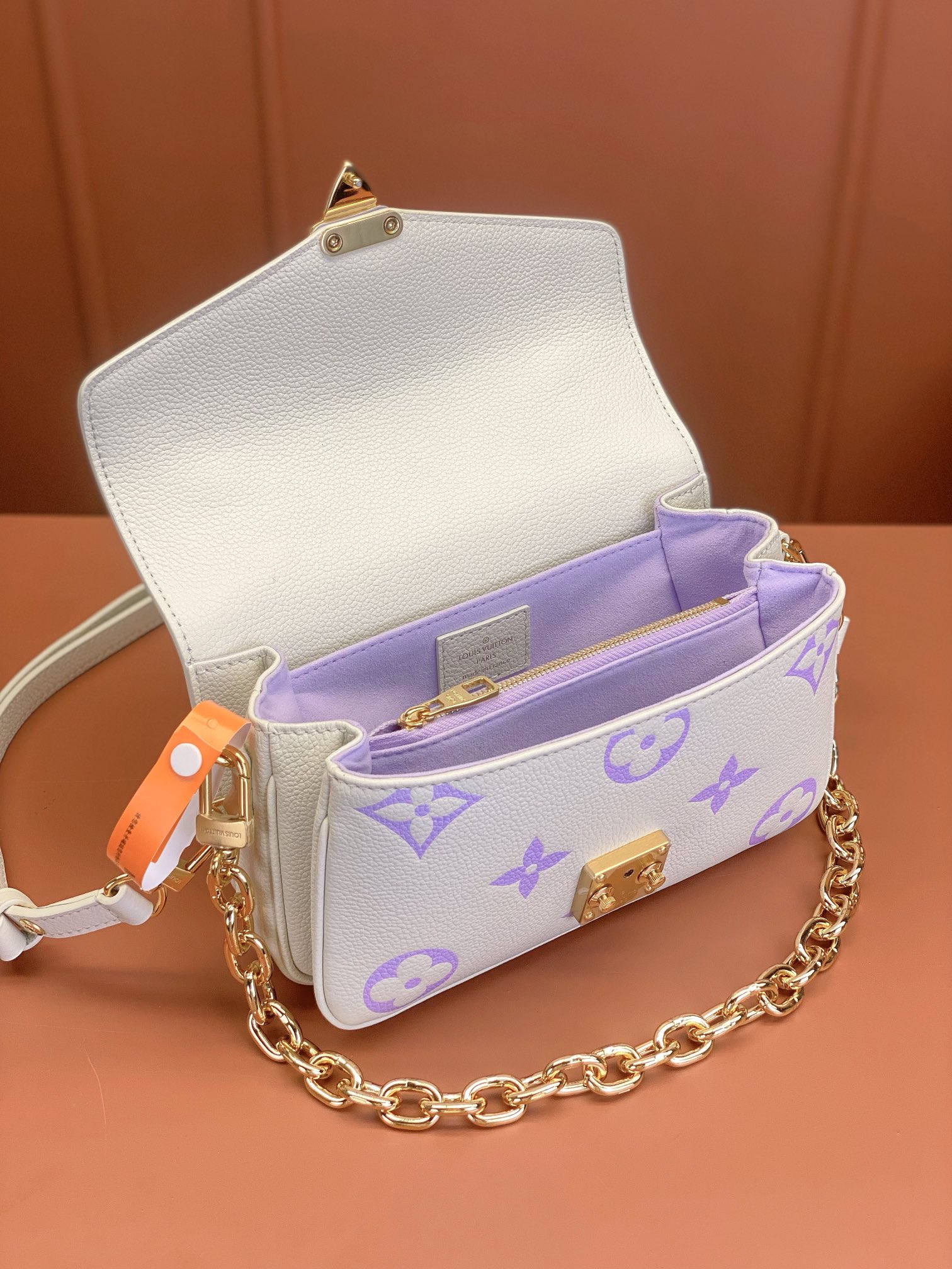LV Bag