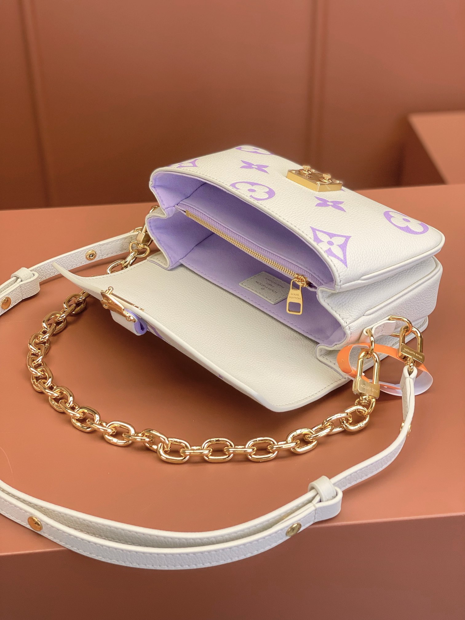 LV Bag