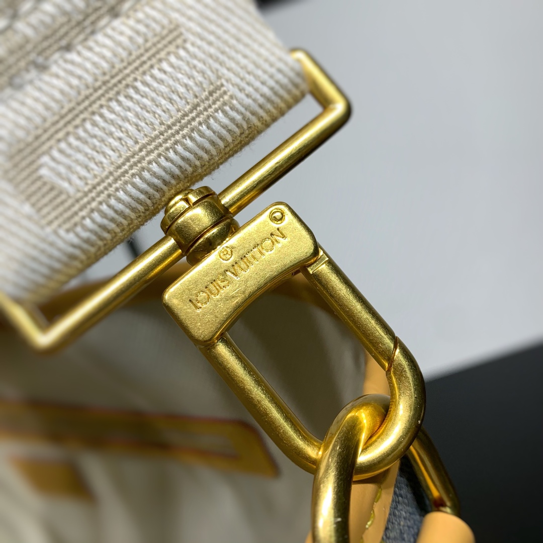 LV Bag