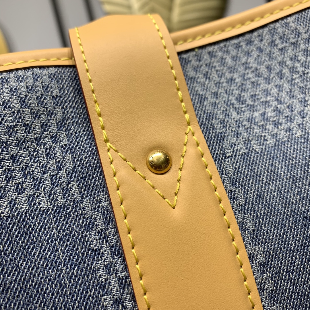 LV Bag