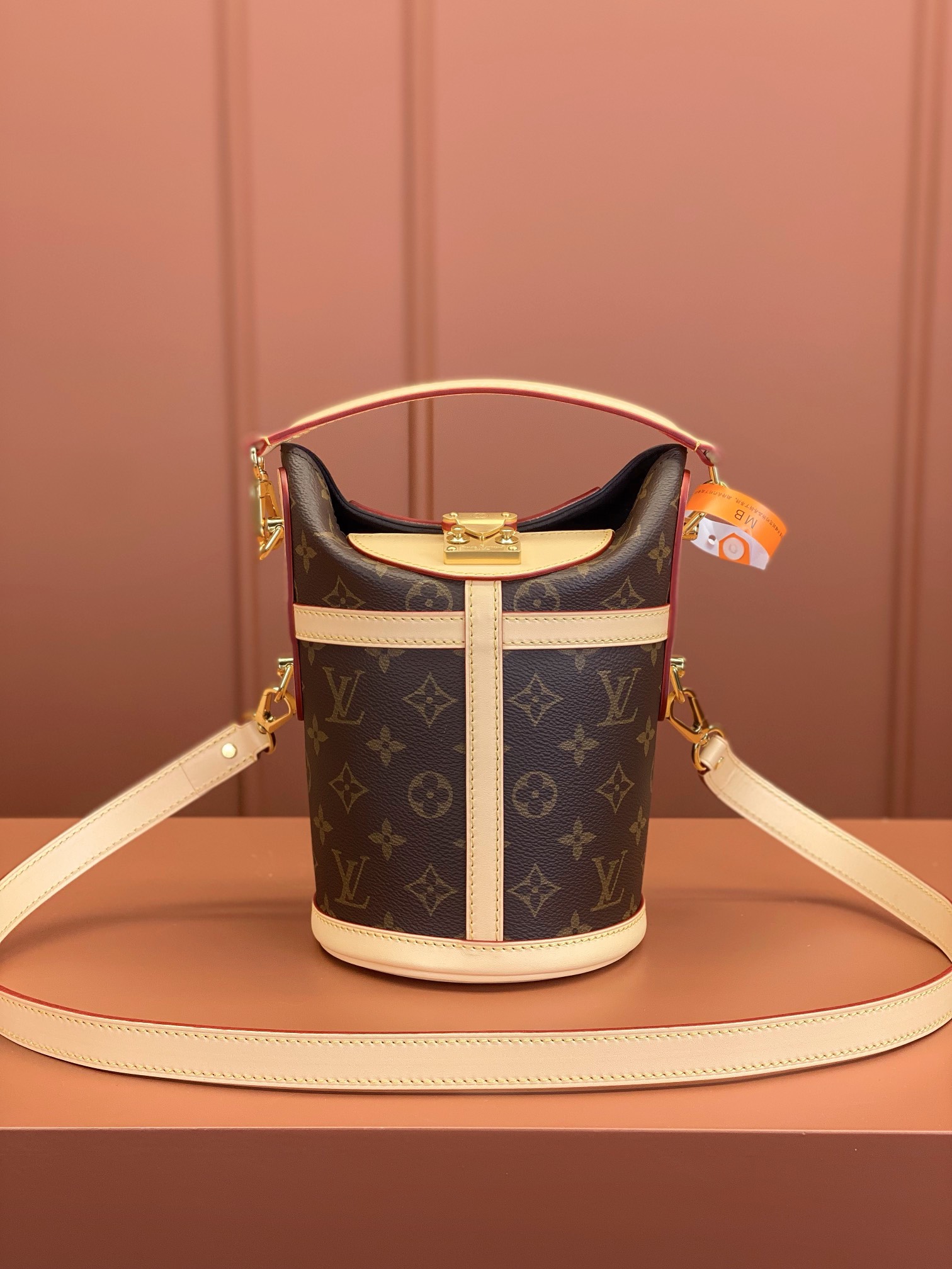 LV Bag