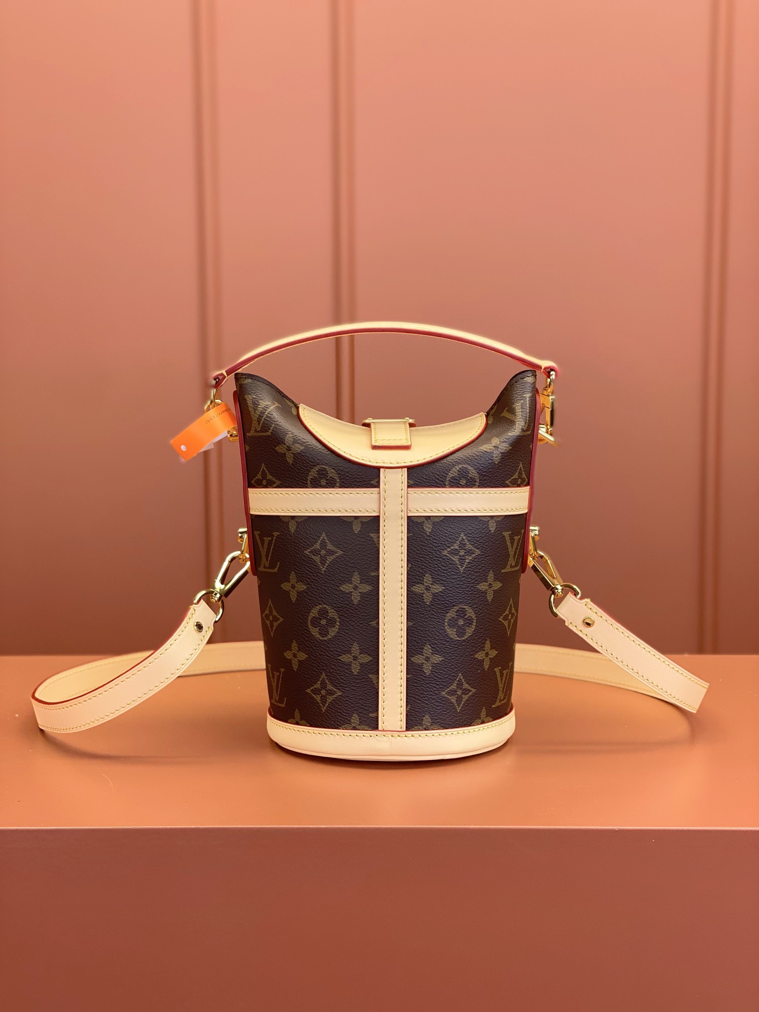 LV Bag