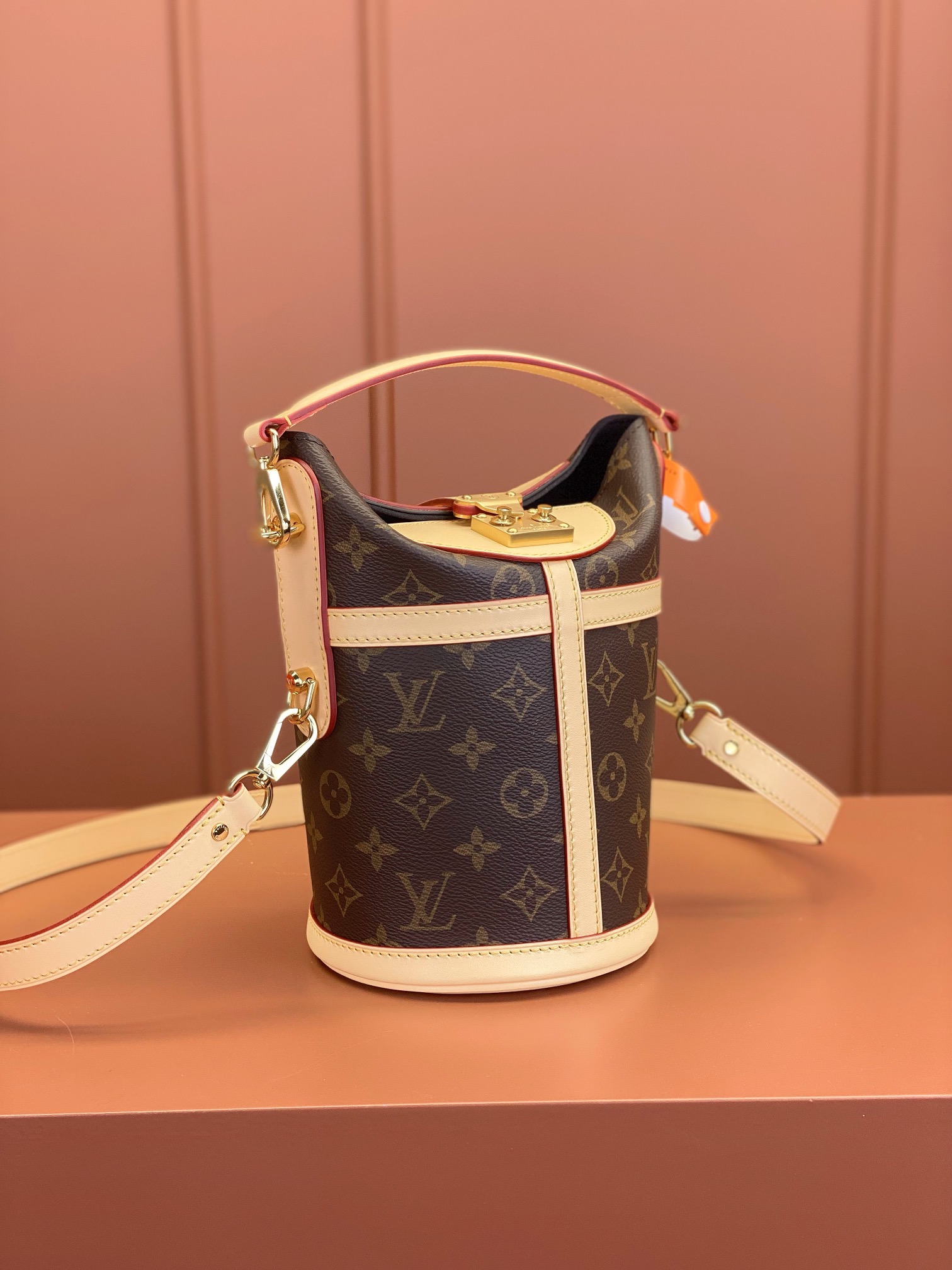 LV Bag