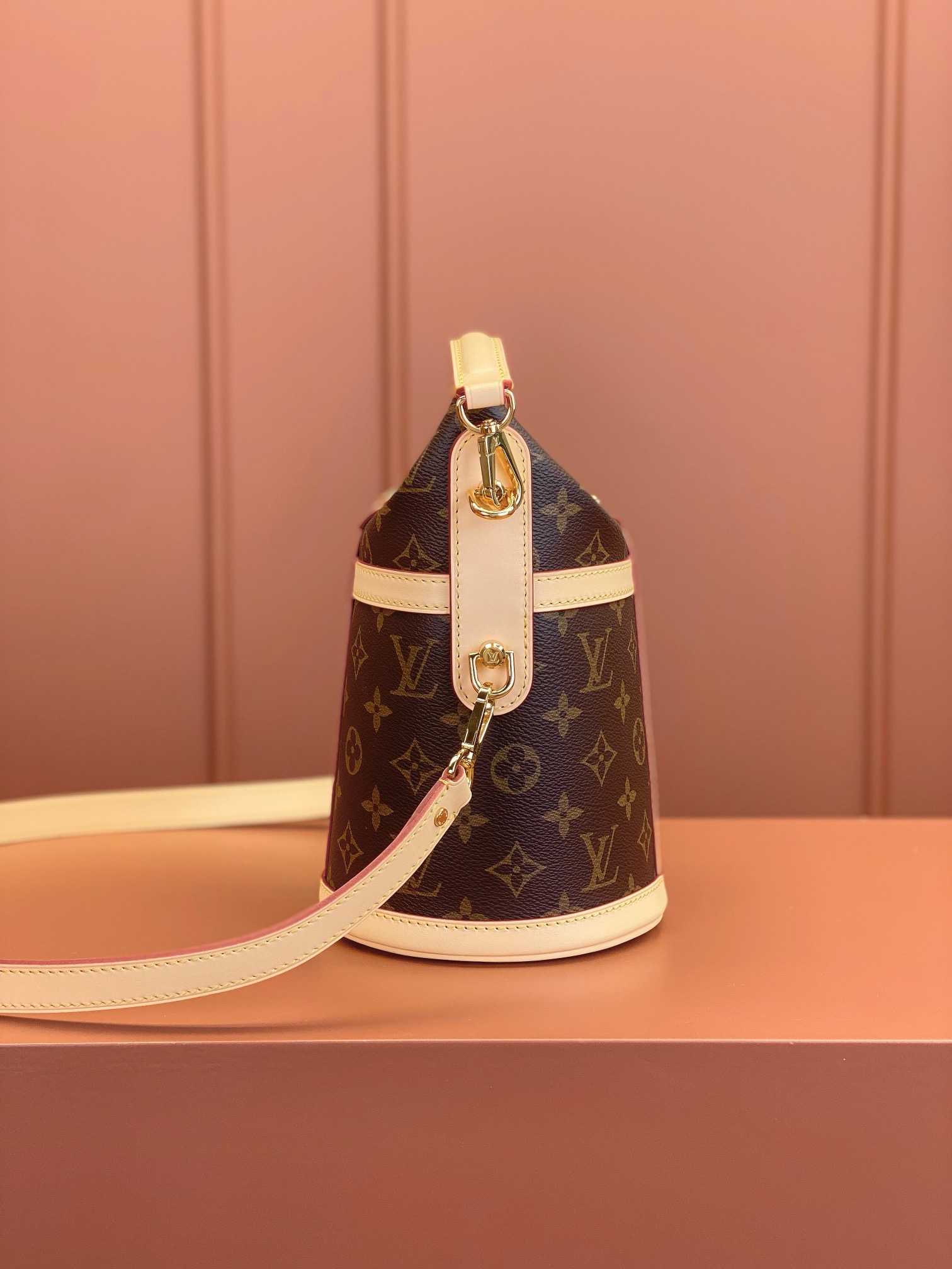 LV Bag