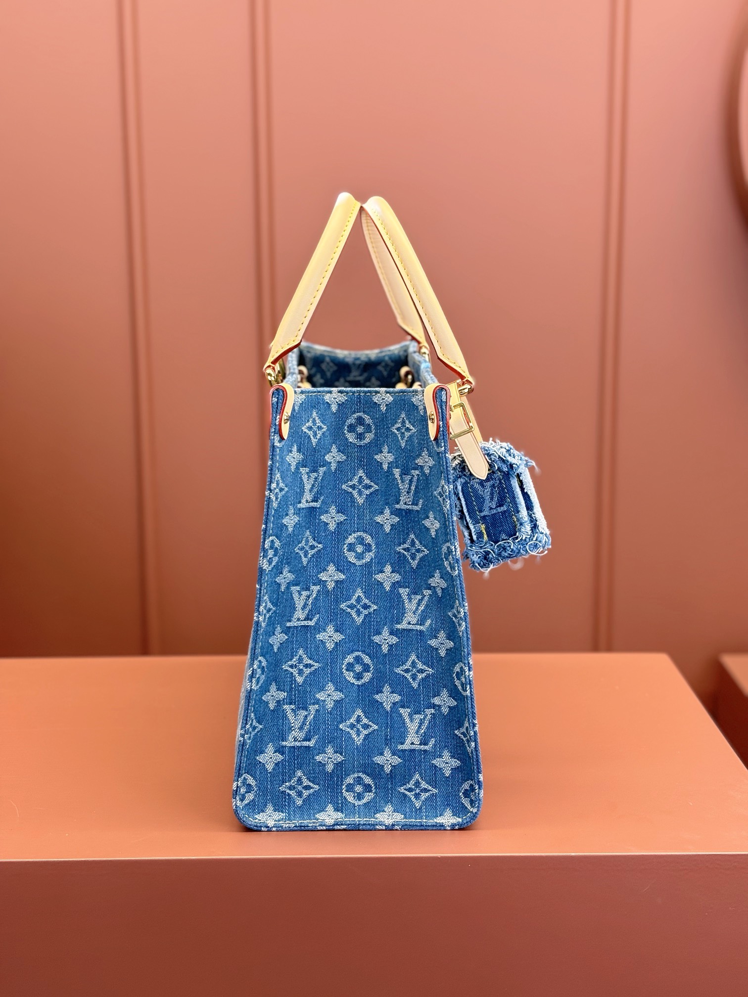 LV Bag