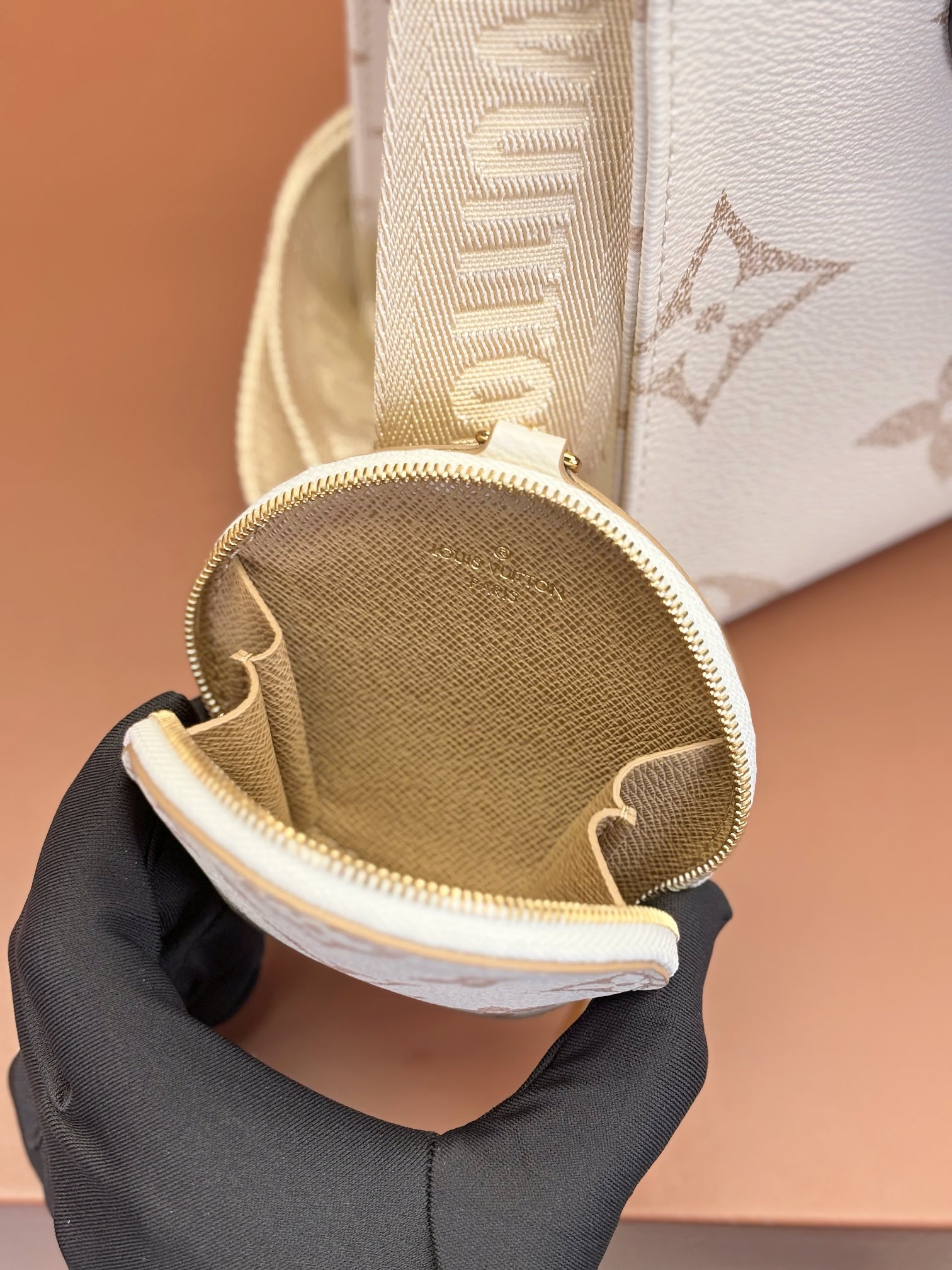 LV Bag