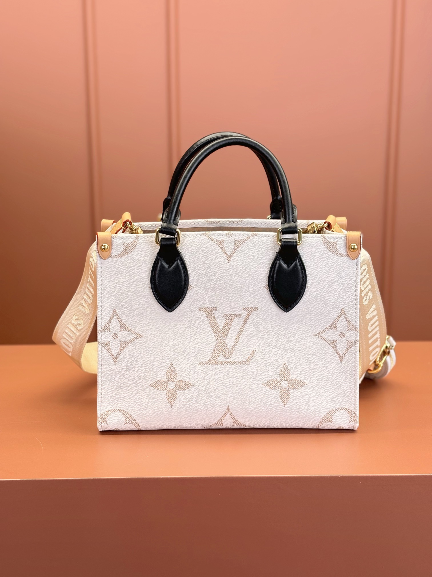 LV Bag