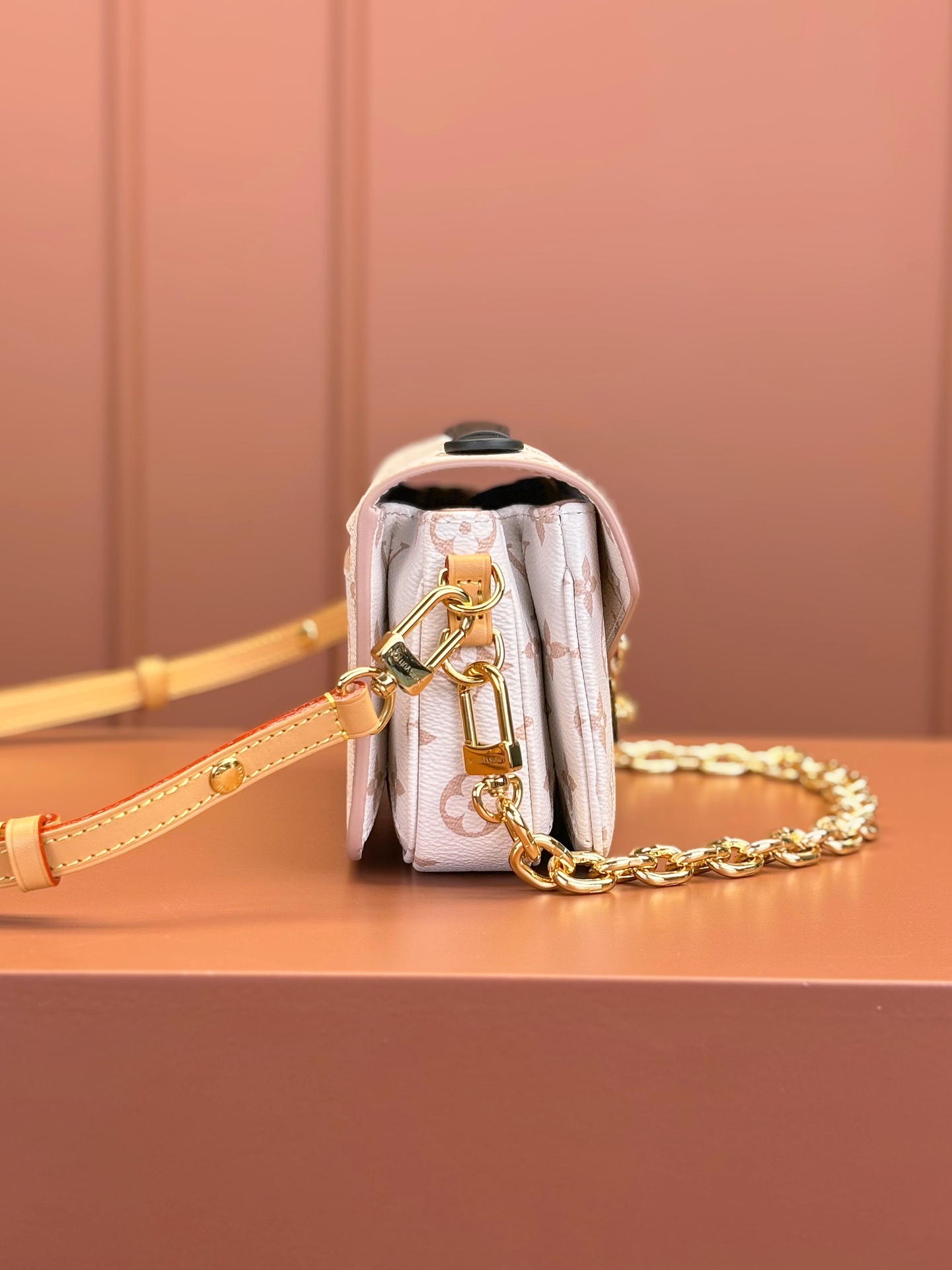 LV Bag