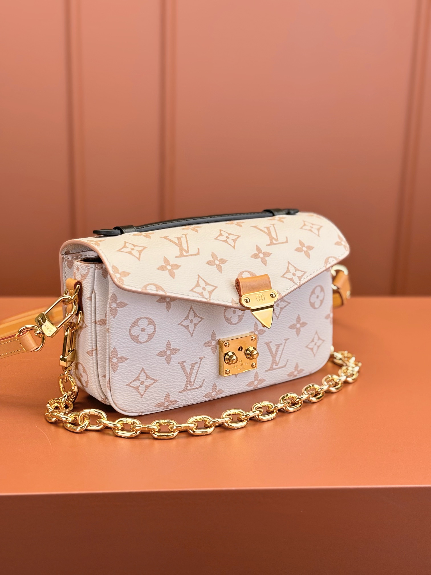 LV Bag