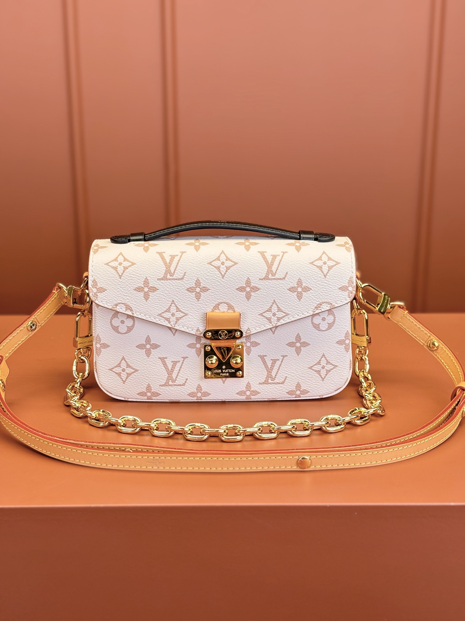 LV Bag
