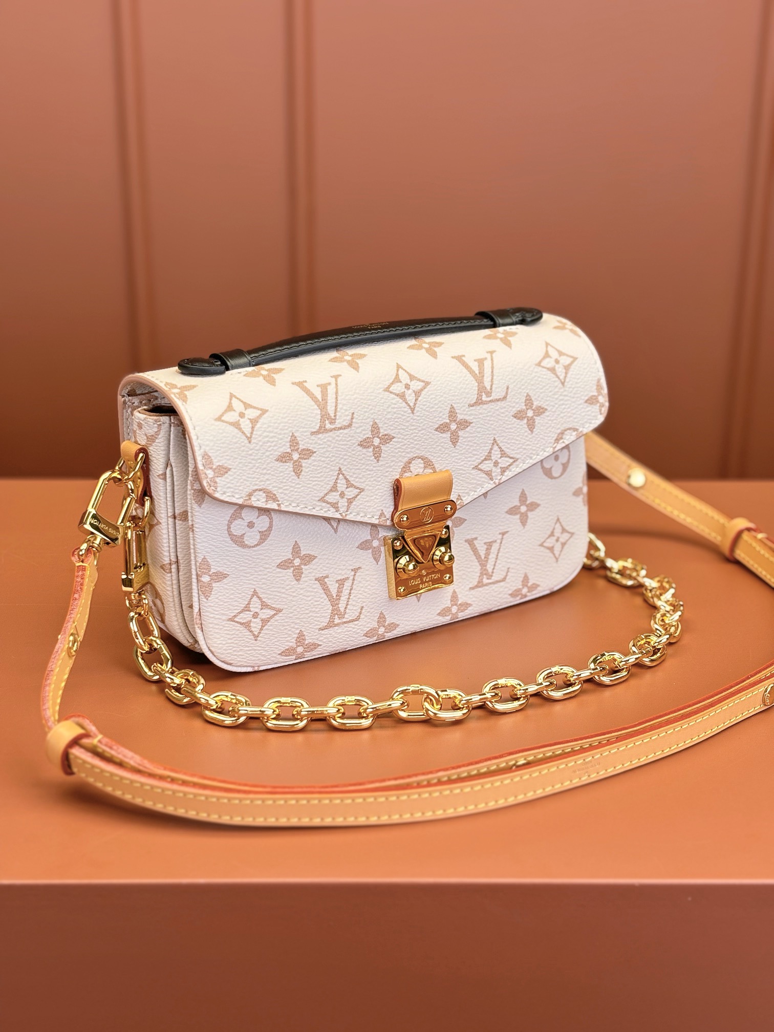 LV Bag