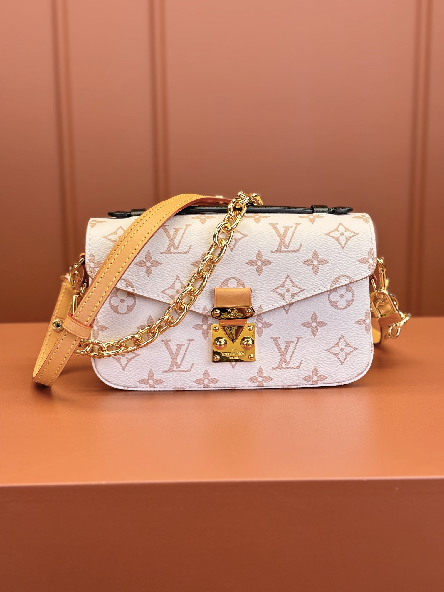 LV Bag