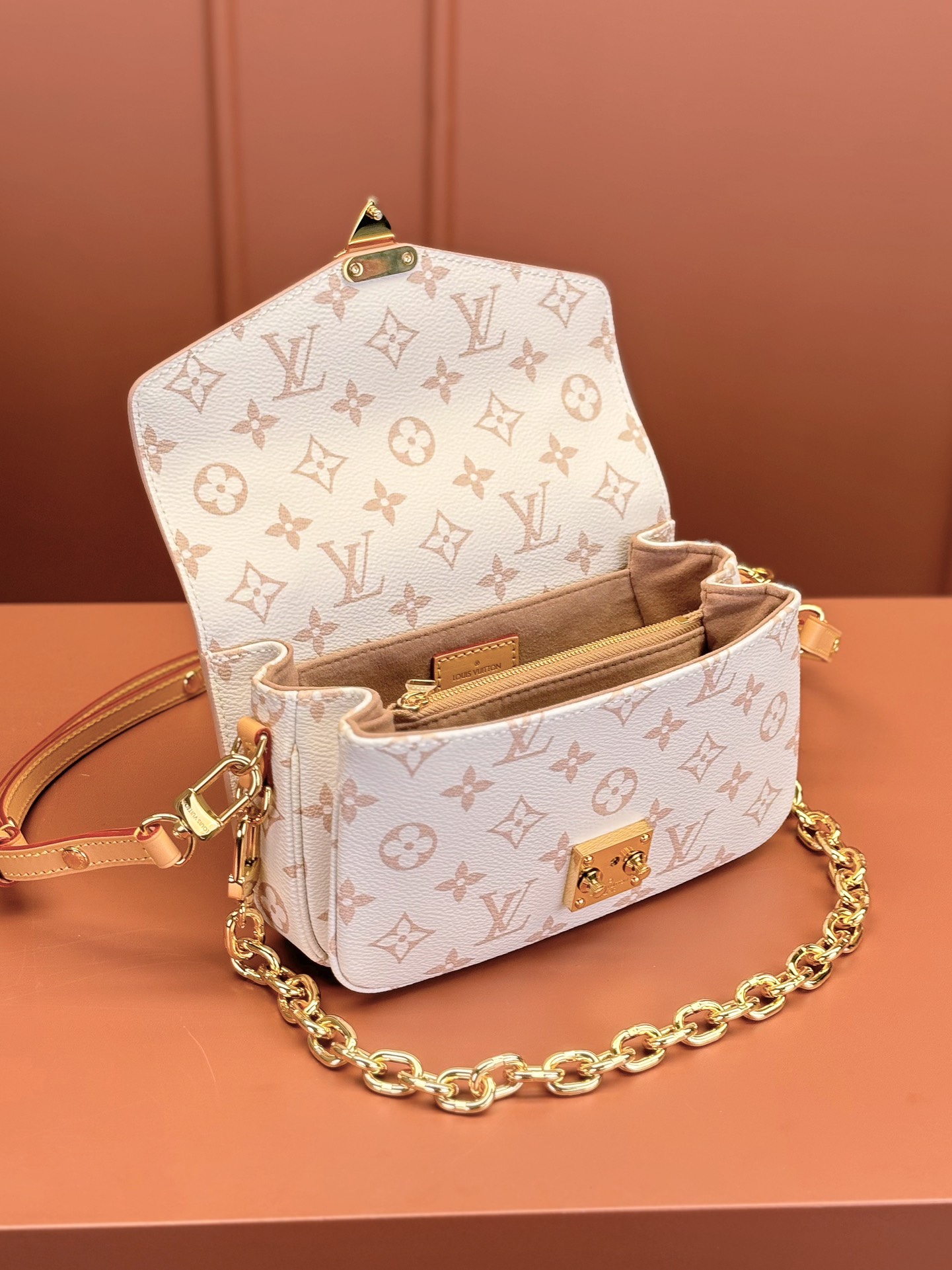 LV Bag
