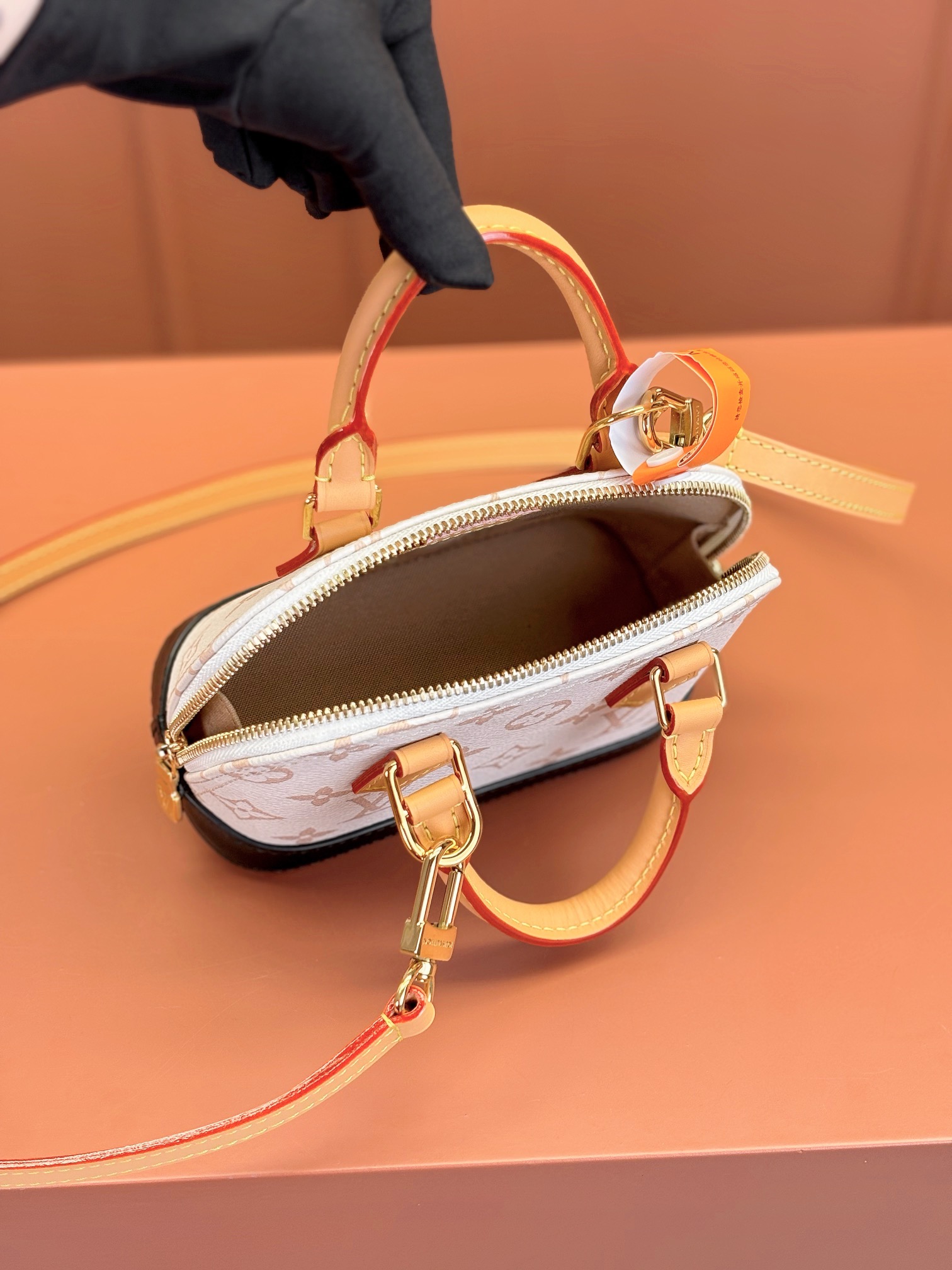 LV Bag