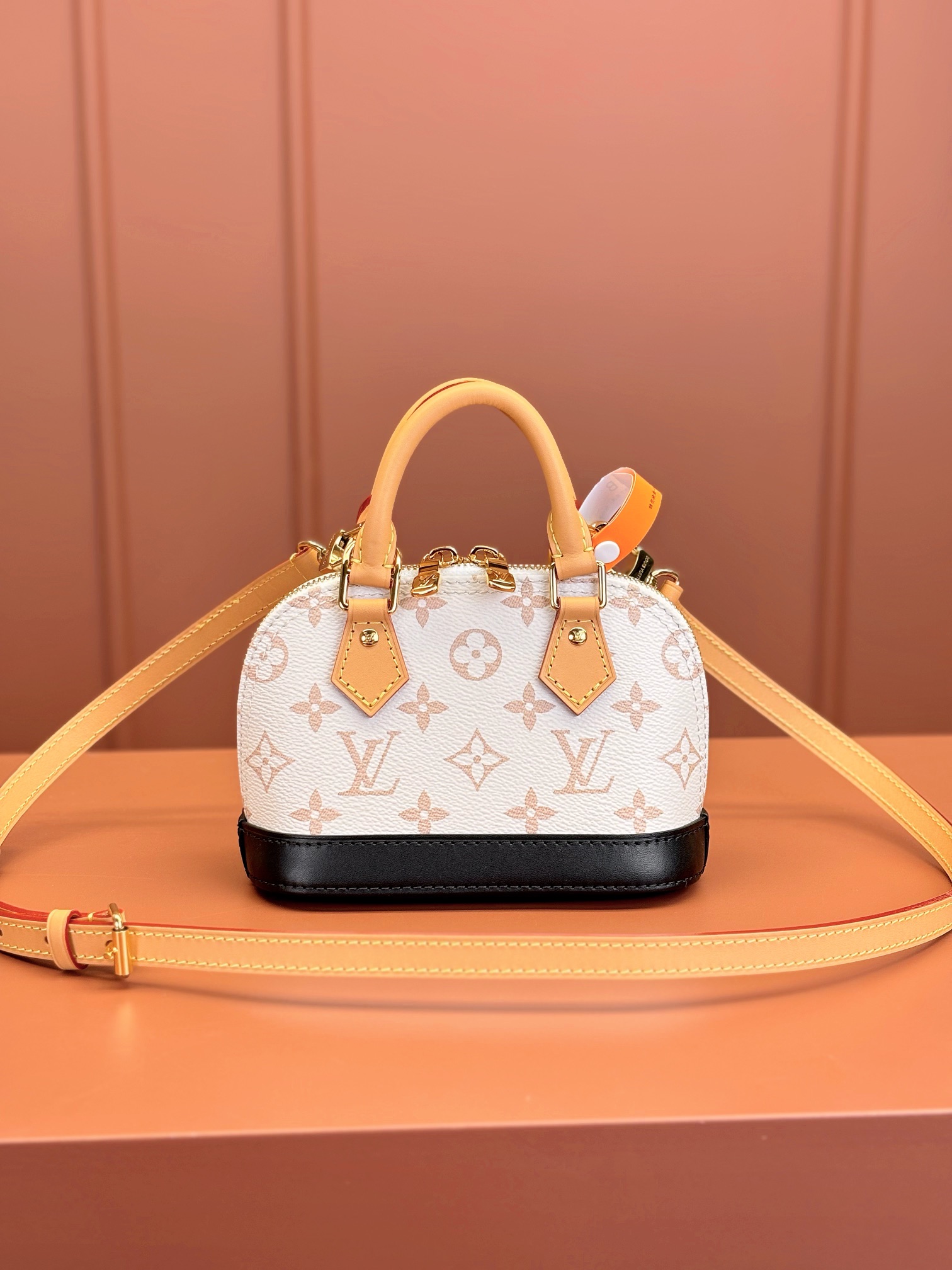 LV Bag