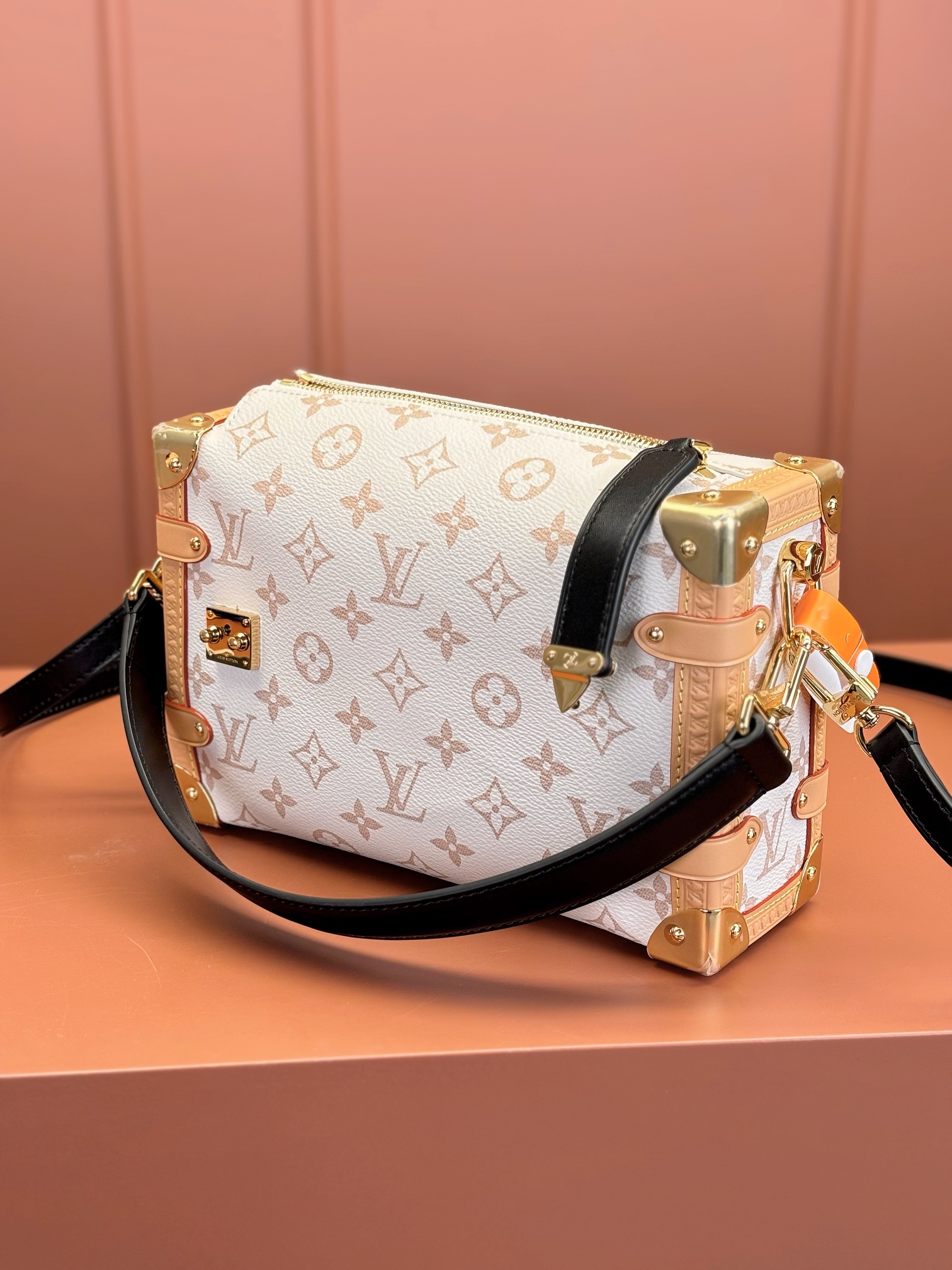 LV Bag