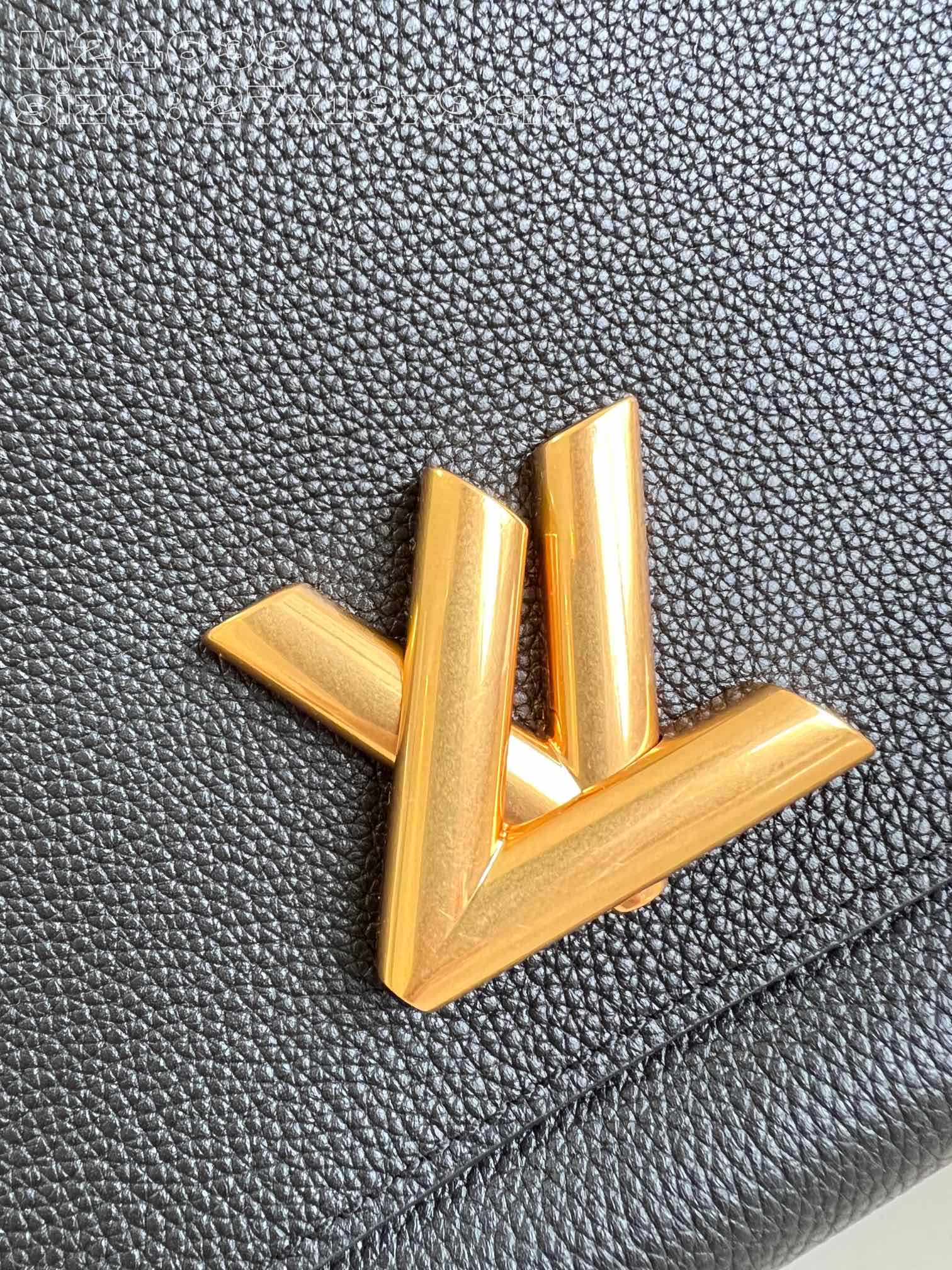 LV Bag