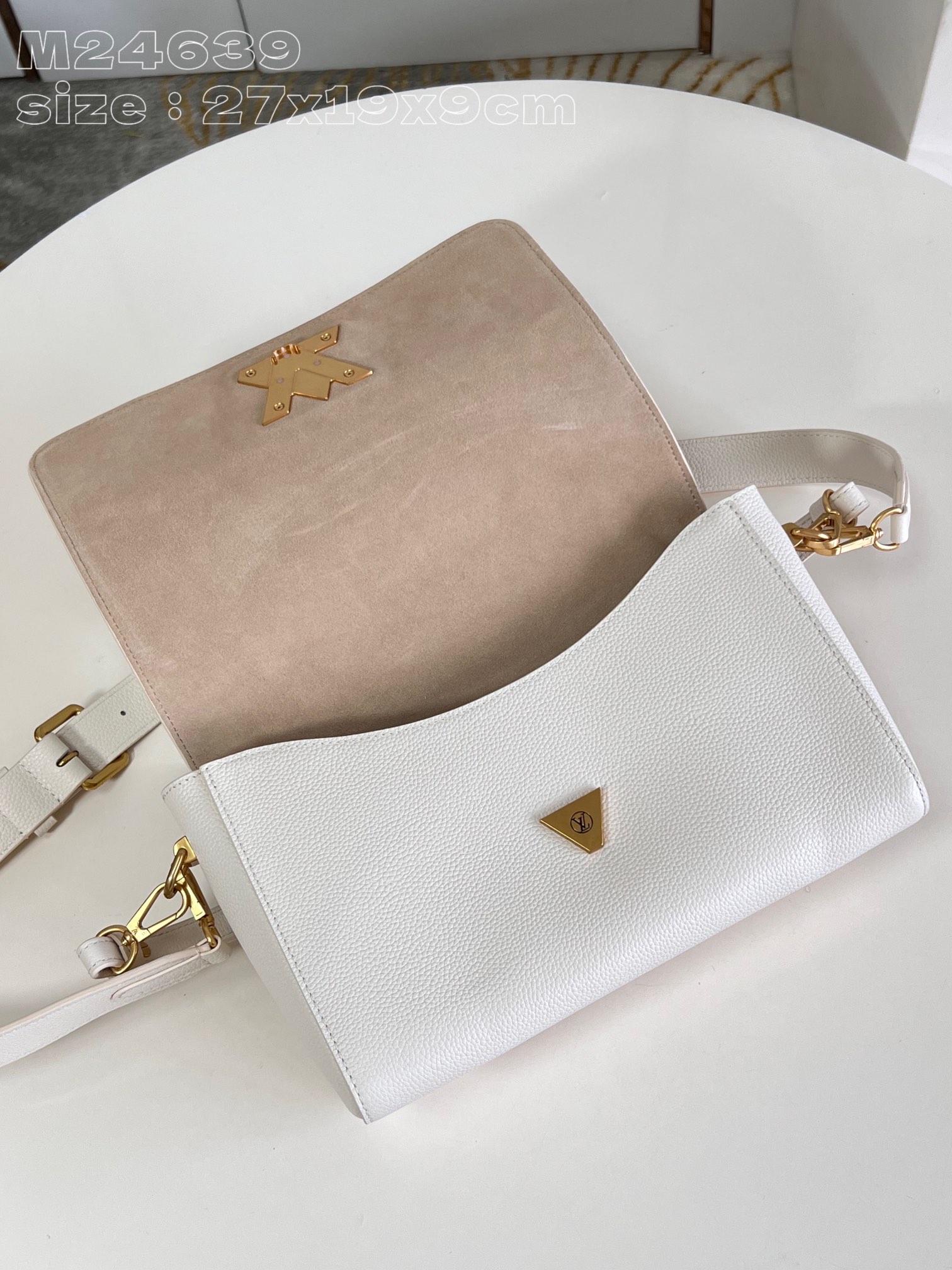 LV Bag