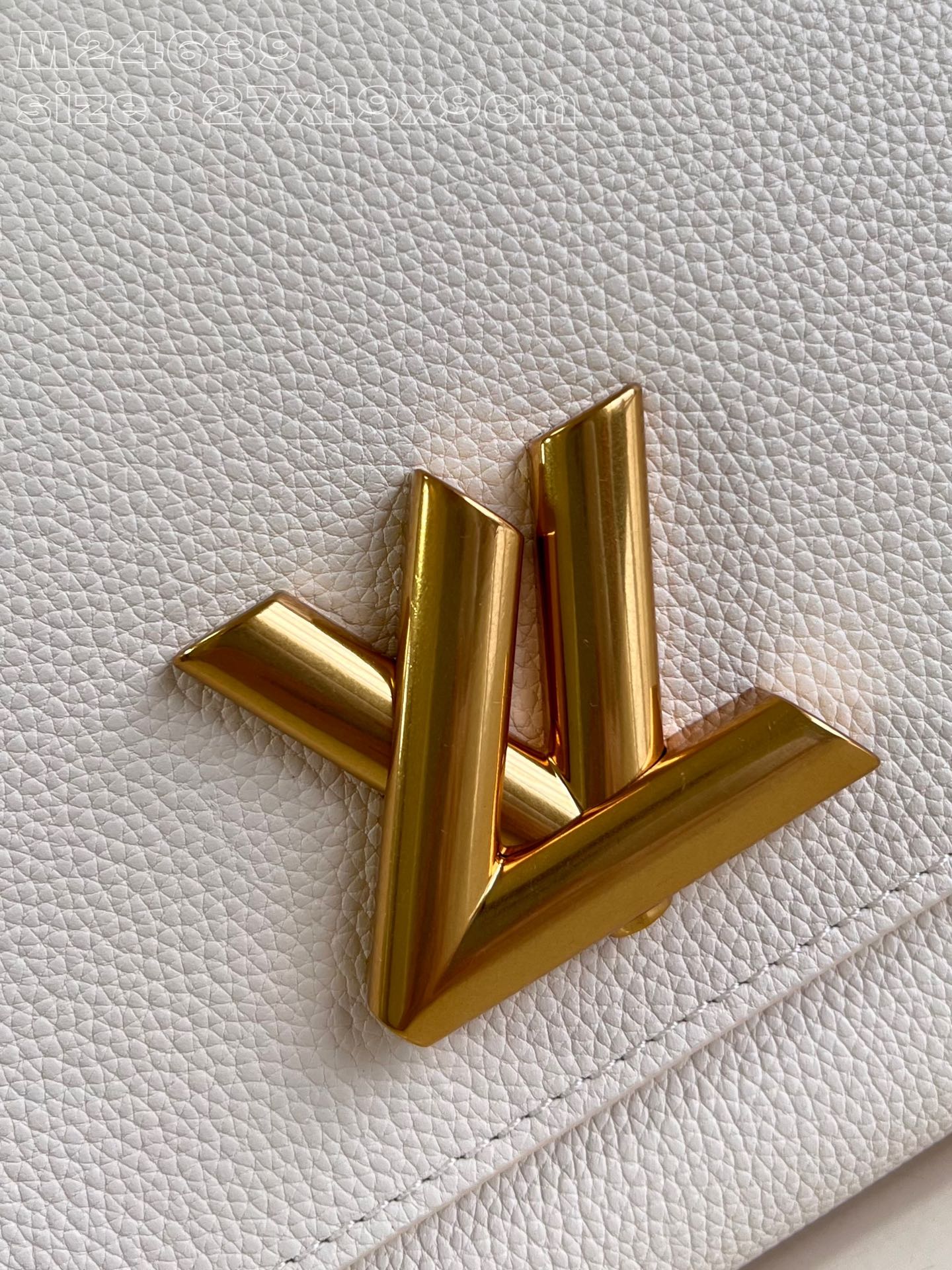 LV Bag