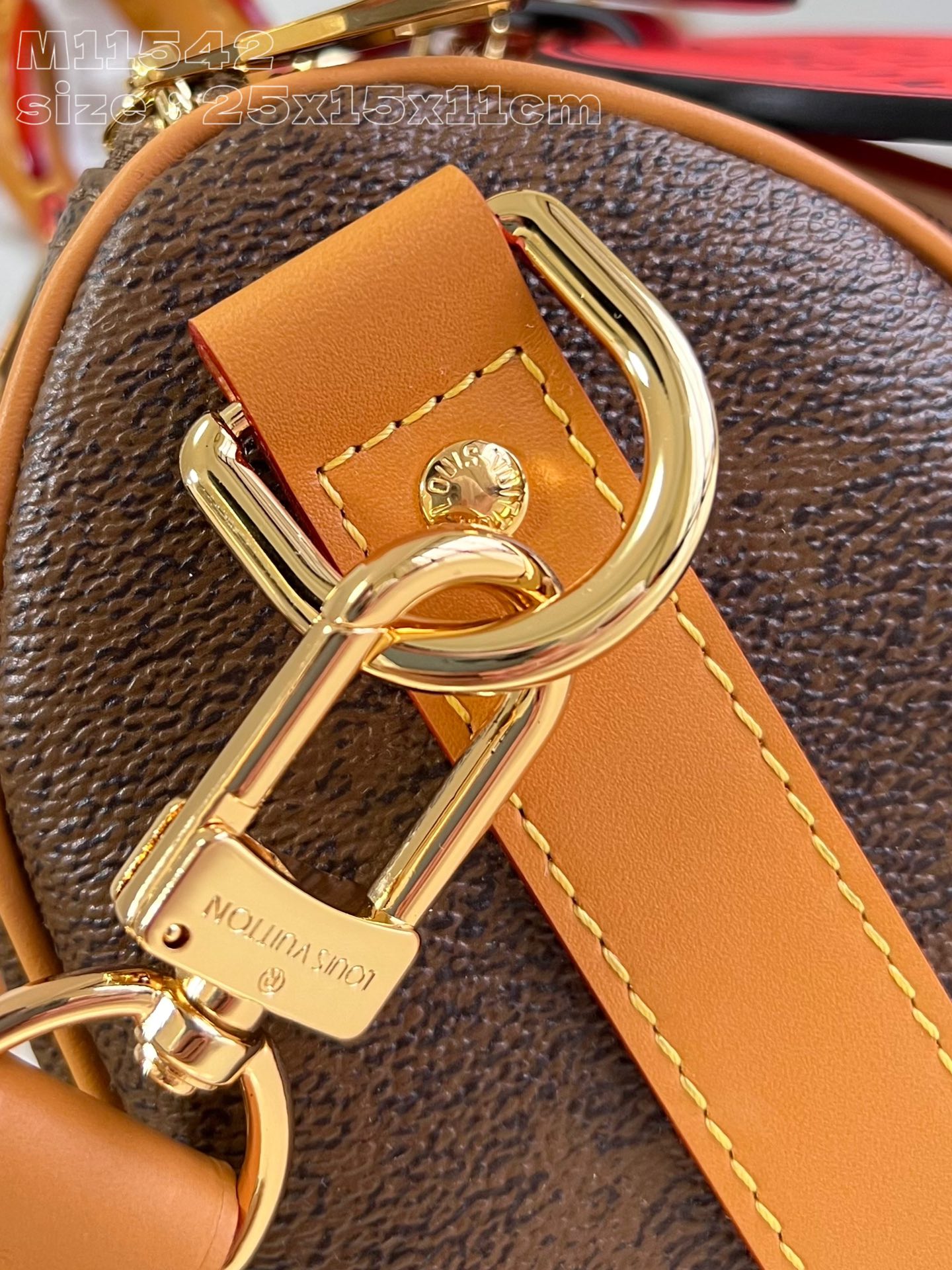 LV Bag