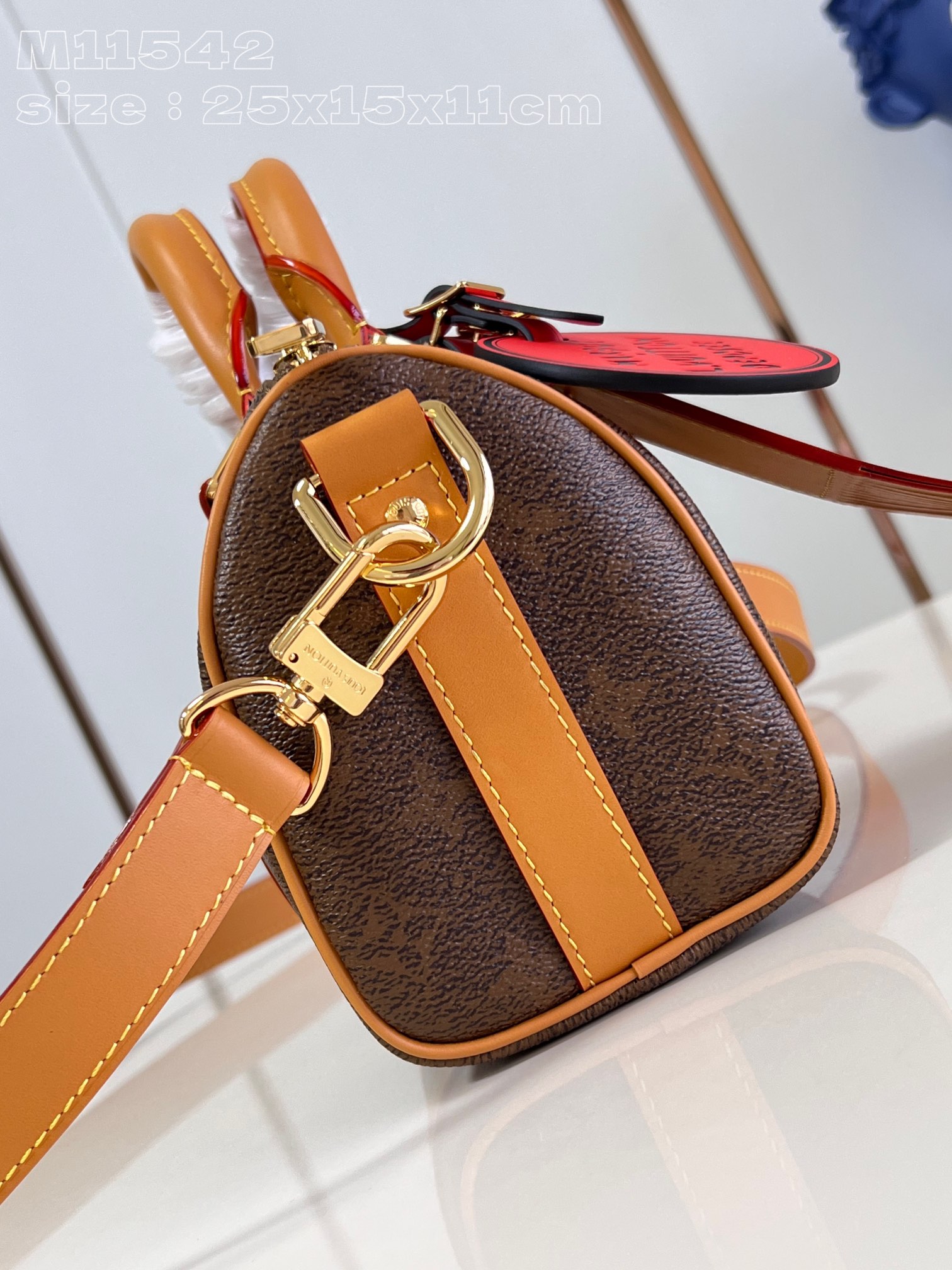 LV Bag