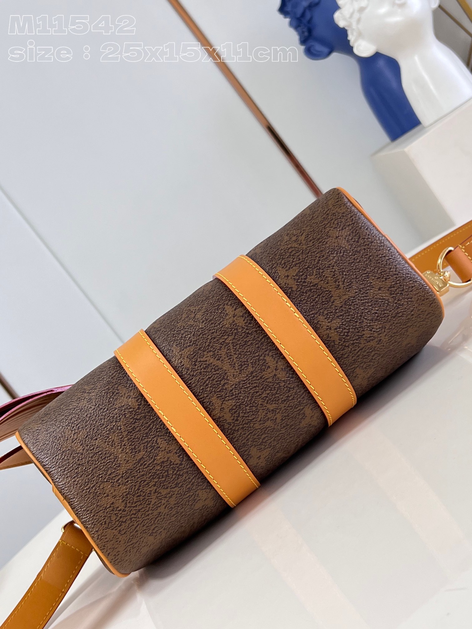 LV Bag
