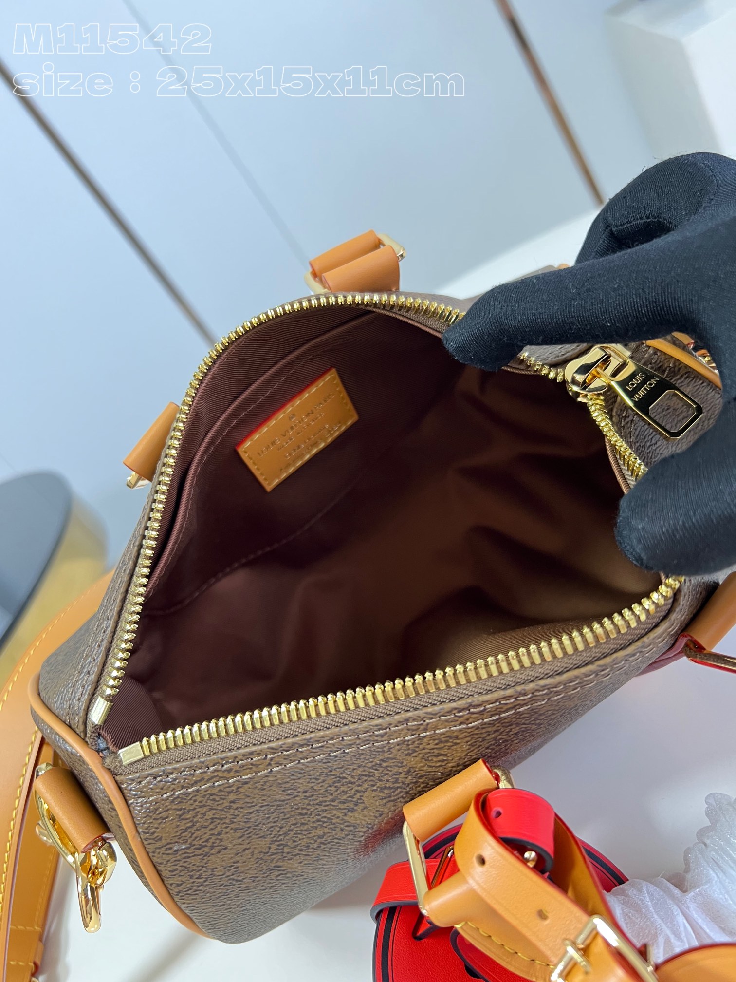 LV Bag