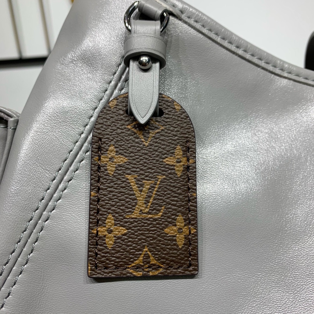 LV Bag