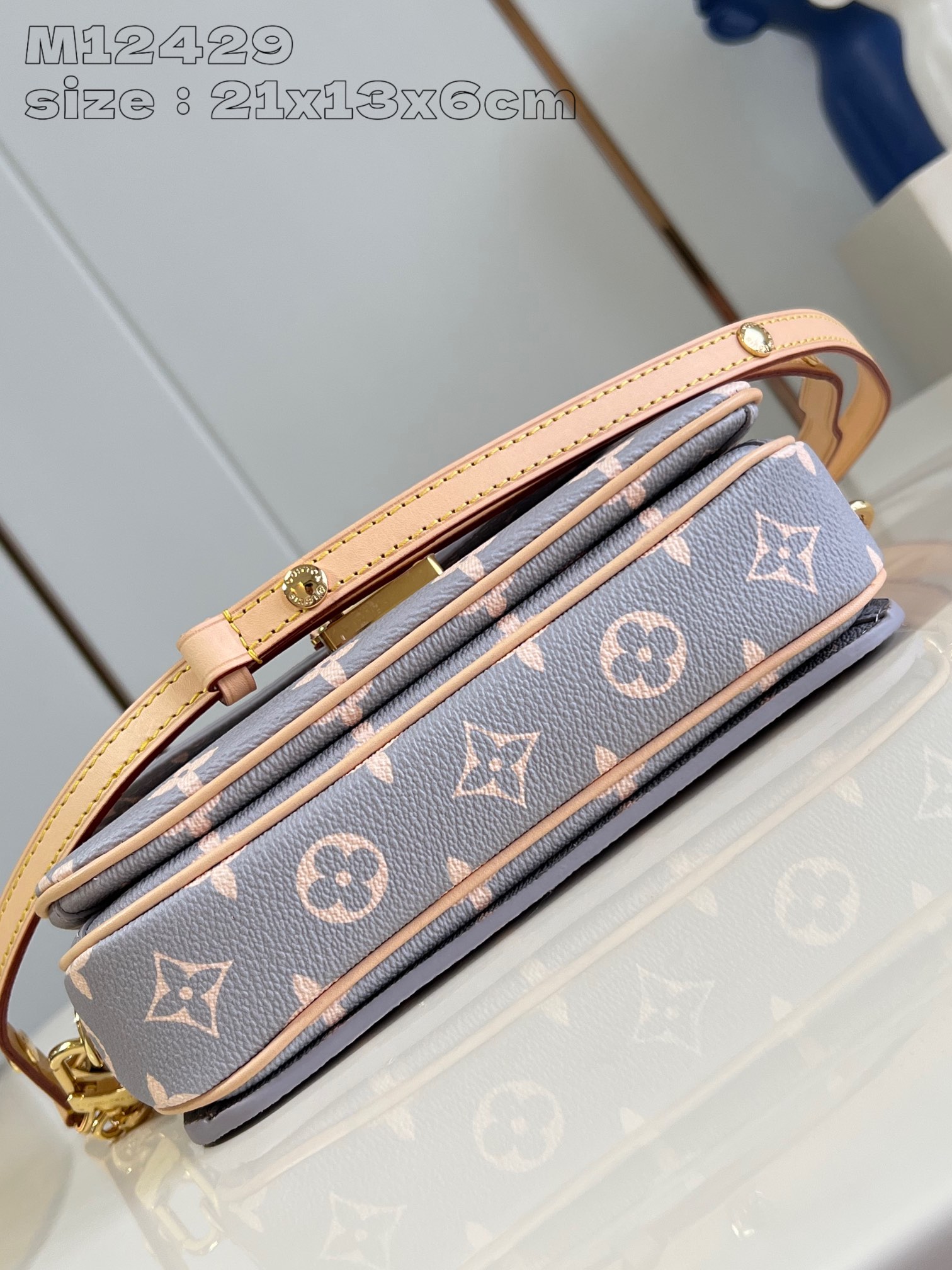 LV Bag